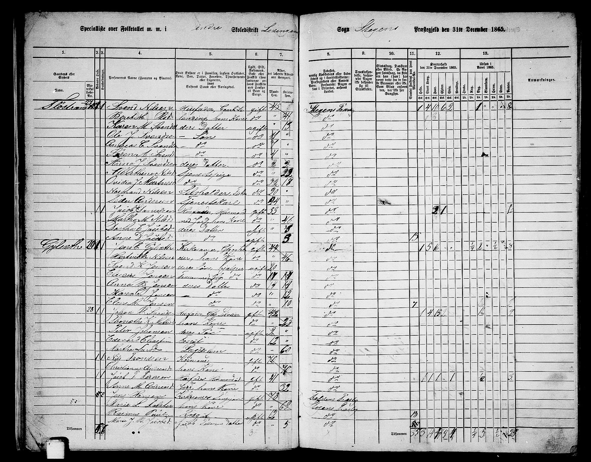 RA, 1865 census for Steigen, 1865, p. 21