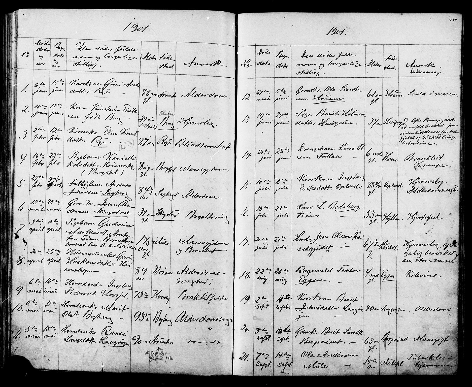 Ministerialprotokoller, klokkerbøker og fødselsregistre - Sør-Trøndelag, SAT/A-1456/612/L0387: Parish register (copy) no. 612C03, 1874-1908, p. 244