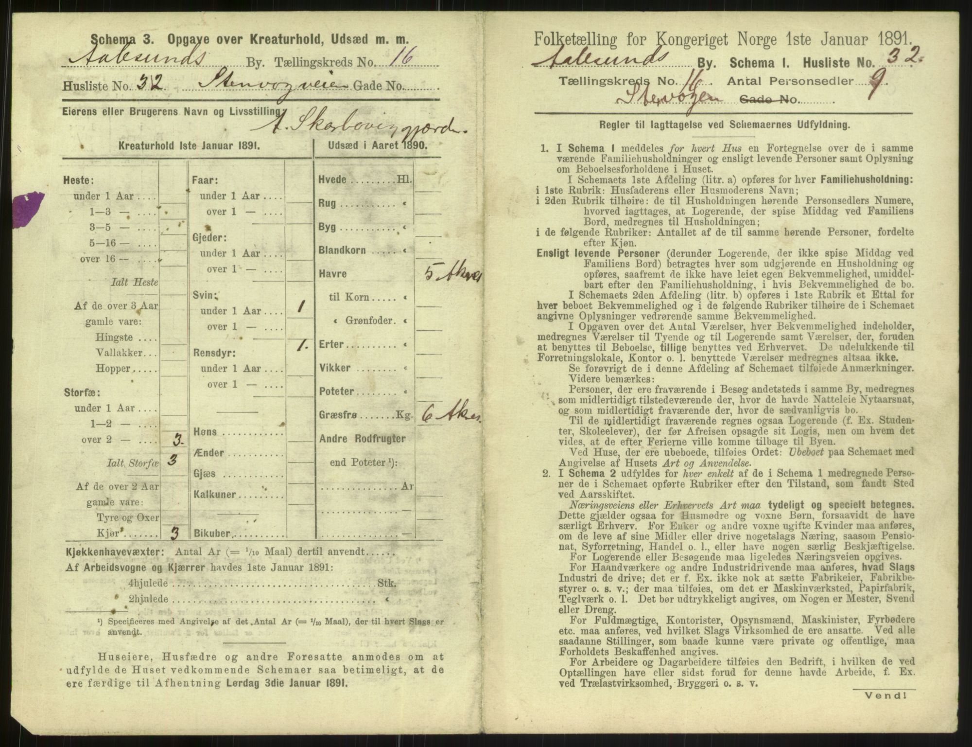 RA, 1891 census for 1501 Ålesund, 1891, p. 1166