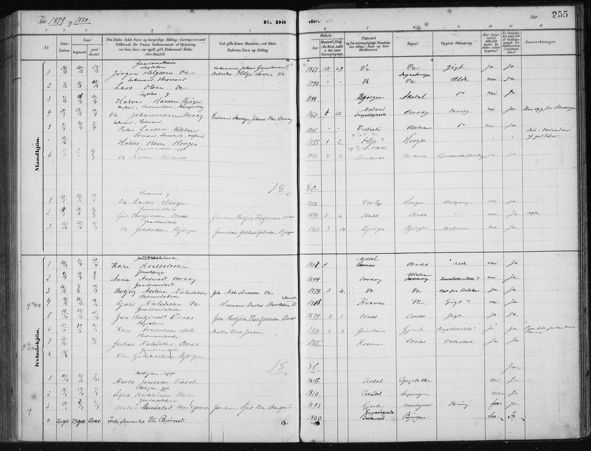 Etne sokneprestembete, SAB/A-75001/H/Haa: Parish register (official) no. C  1, 1879-1919, p. 255