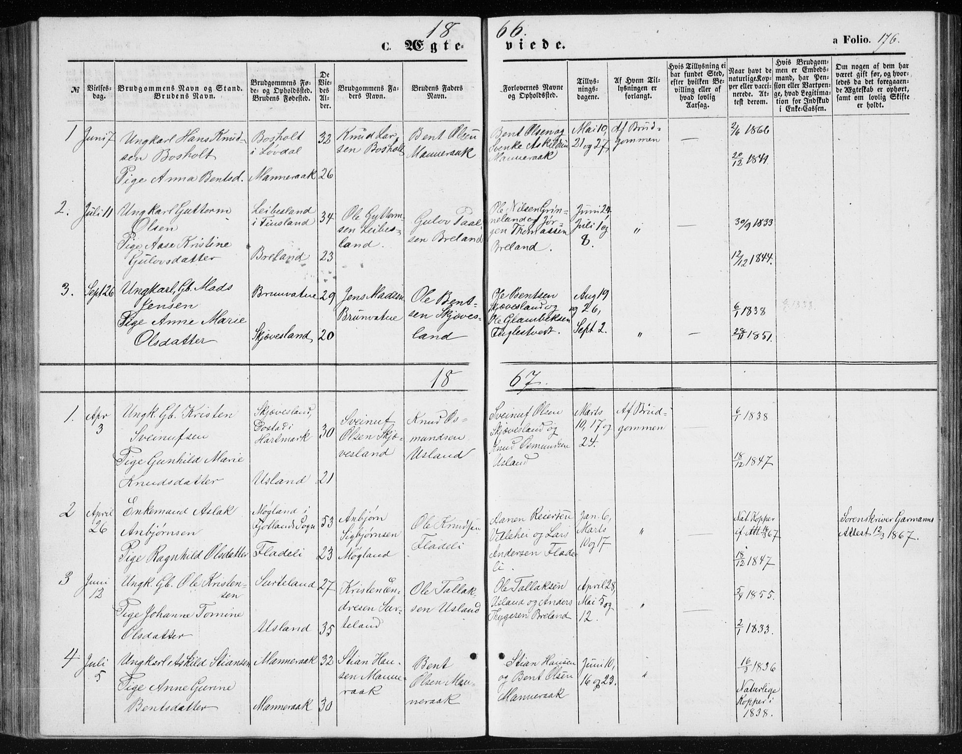 Holum sokneprestkontor, SAK/1111-0022/F/Fb/Fbc/L0002: Parish register (copy) no. B 2, 1860-1882, p. 176