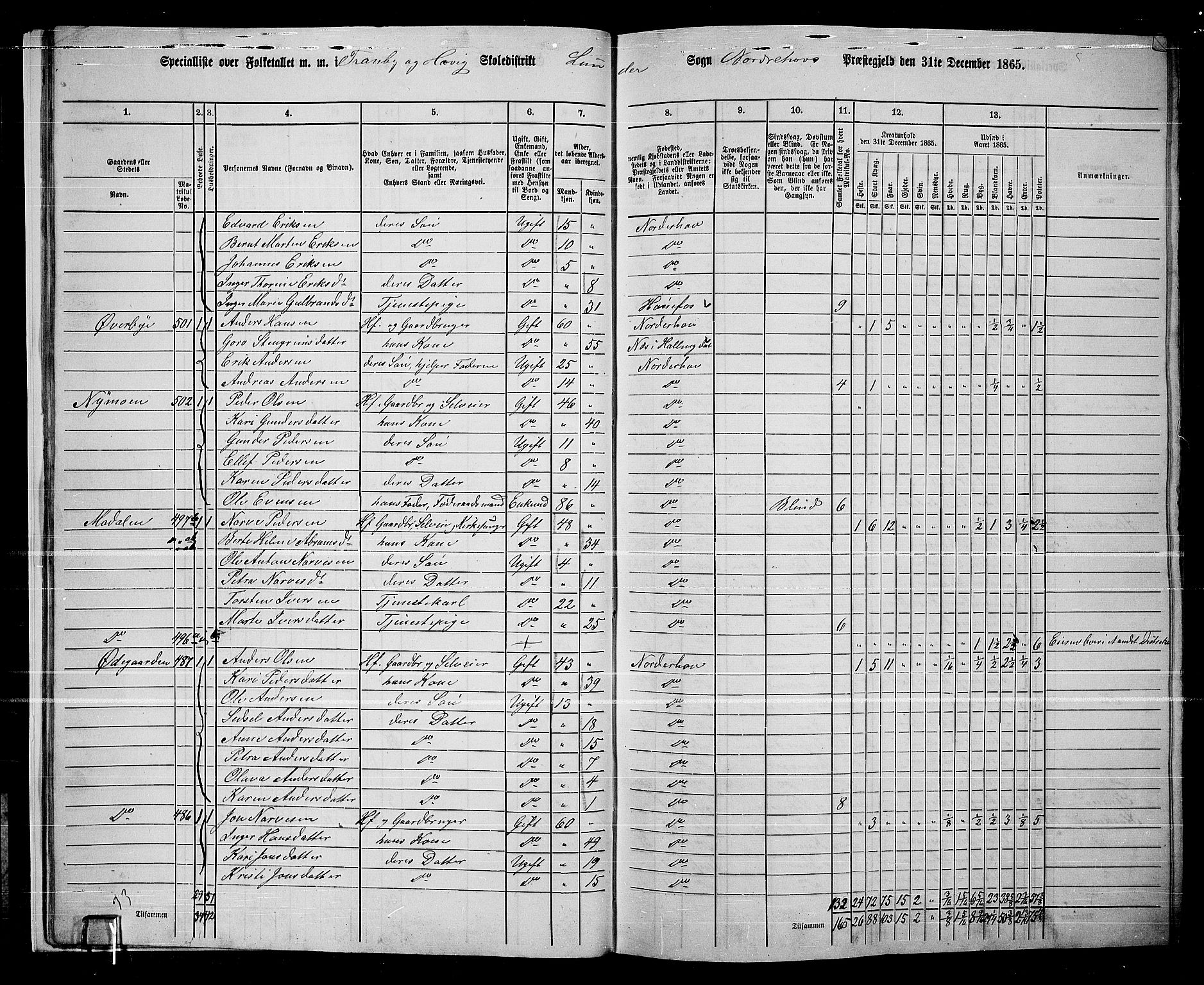 RA, 1865 census for Norderhov/Norderhov, Haug og Lunder, 1865, p. 21