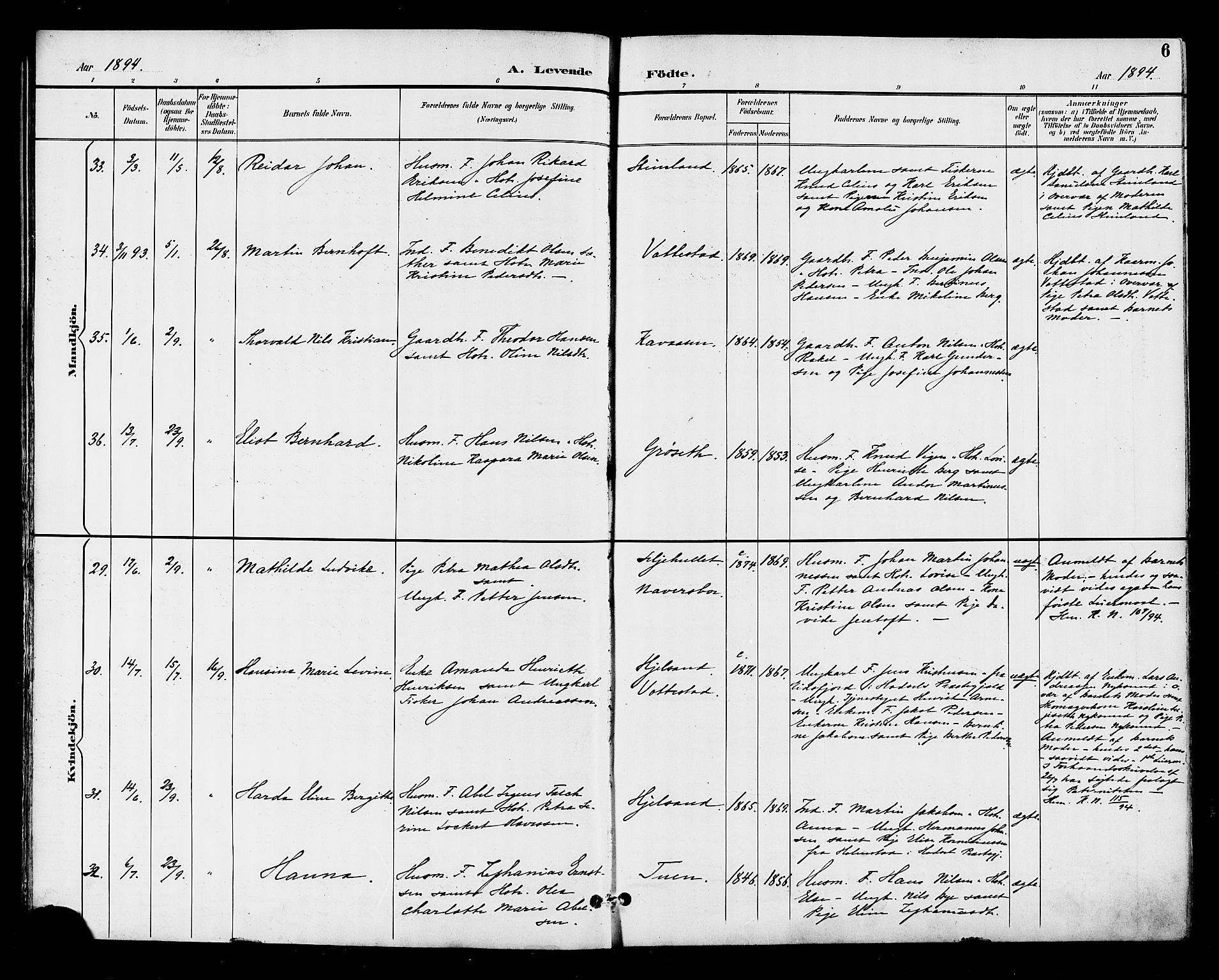 Ministerialprotokoller, klokkerbøker og fødselsregistre - Nordland, AV/SAT-A-1459/893/L1338: Parish register (official) no. 893A10, 1894-1903, p. 6