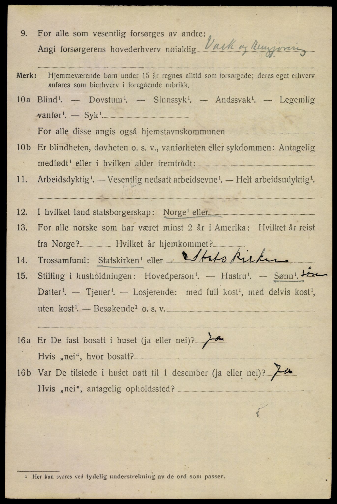 SAKO, 1920 census for Porsgrunn, 1920, p. 21540