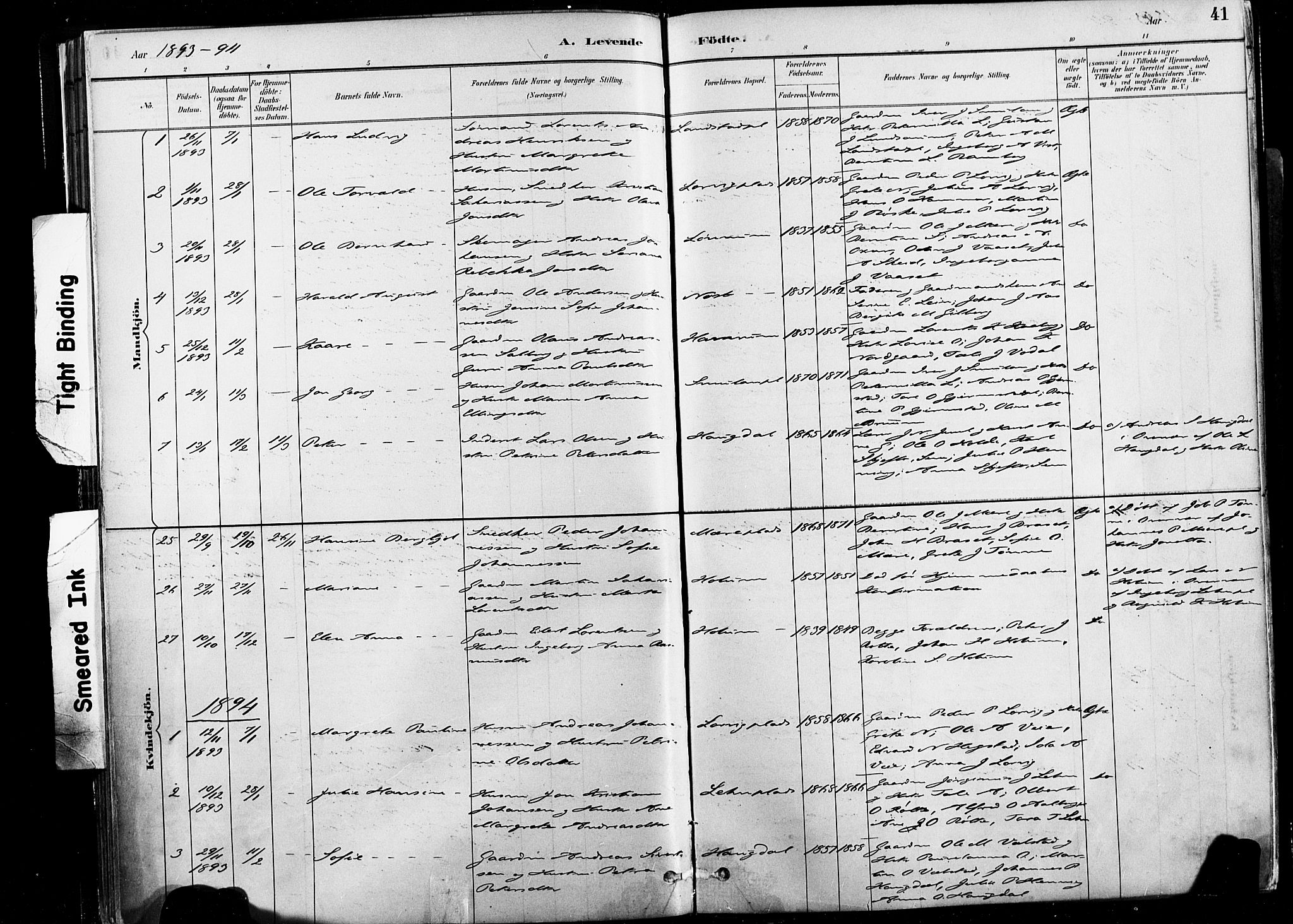 Ministerialprotokoller, klokkerbøker og fødselsregistre - Nord-Trøndelag, SAT/A-1458/735/L0351: Parish register (official) no. 735A10, 1884-1908, p. 41