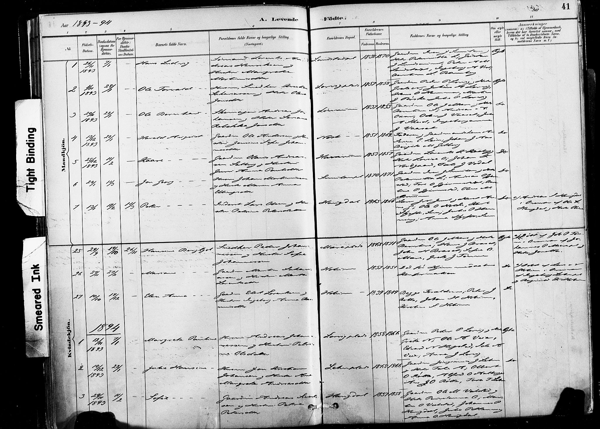 Ministerialprotokoller, klokkerbøker og fødselsregistre - Nord-Trøndelag, AV/SAT-A-1458/735/L0351: Parish register (official) no. 735A10, 1884-1908, p. 41