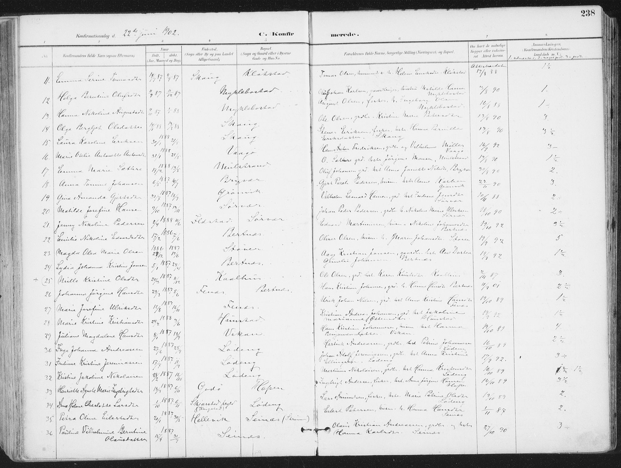 Ministerialprotokoller, klokkerbøker og fødselsregistre - Nordland, AV/SAT-A-1459/802/L0055: Parish register (official) no. 802A02, 1894-1915, p. 238