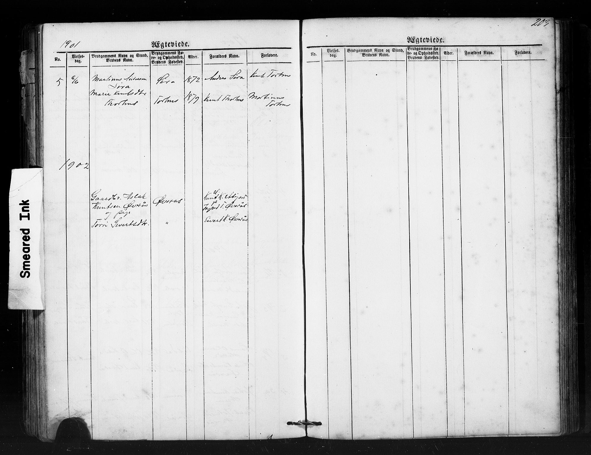 Ministerialprotokoller, klokkerbøker og fødselsregistre - Møre og Romsdal, SAT/A-1454/552/L0638: Parish register (copy) no. 552C01, 1867-1902, p. 203