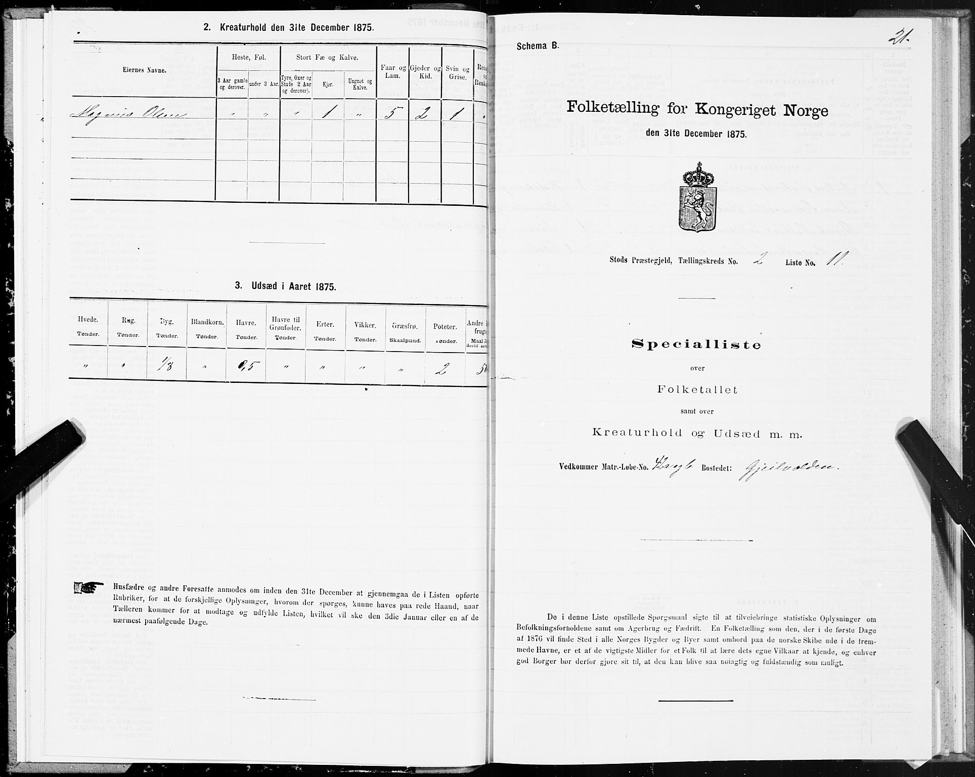 SAT, 1875 census for 1734P Stod, 1875, p. 2021
