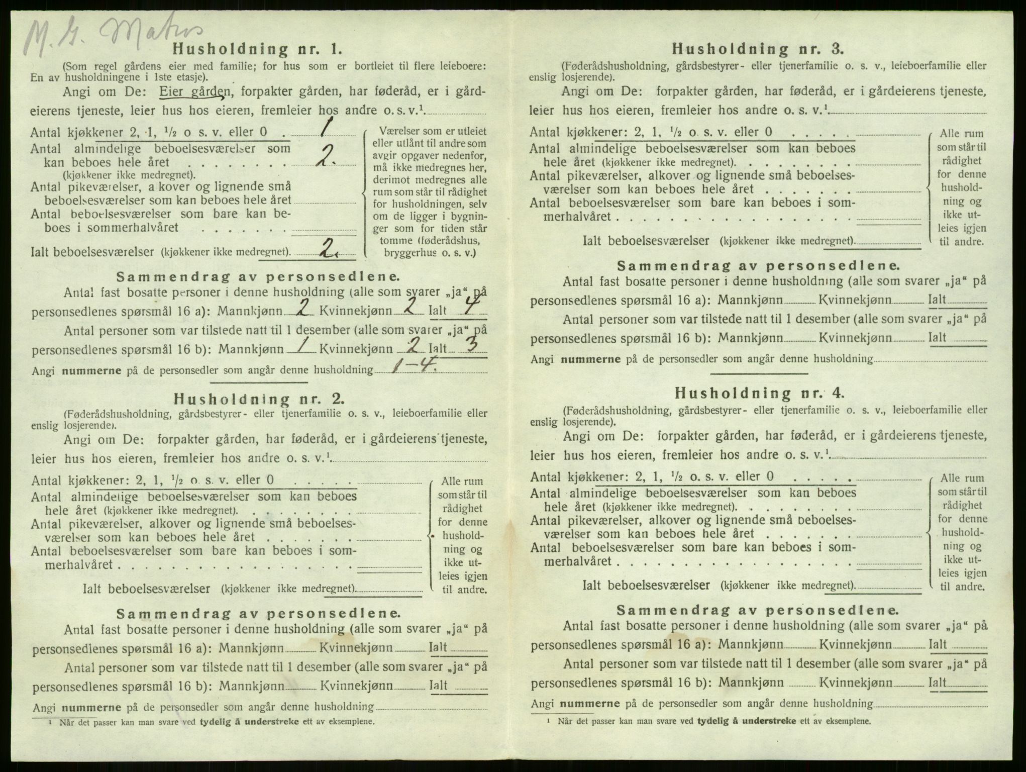 SAKO, 1920 census for Nøtterøy, 1920, p. 529