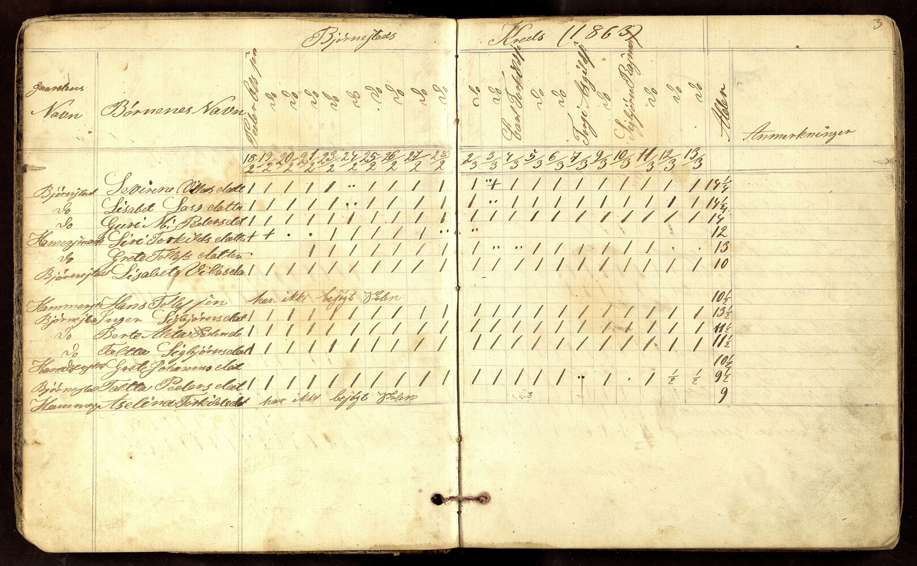 Sirdal kommune - Salmeli Krets, ARKSOR/1046SG554/I/L0001: Dagbok, 1863-1889