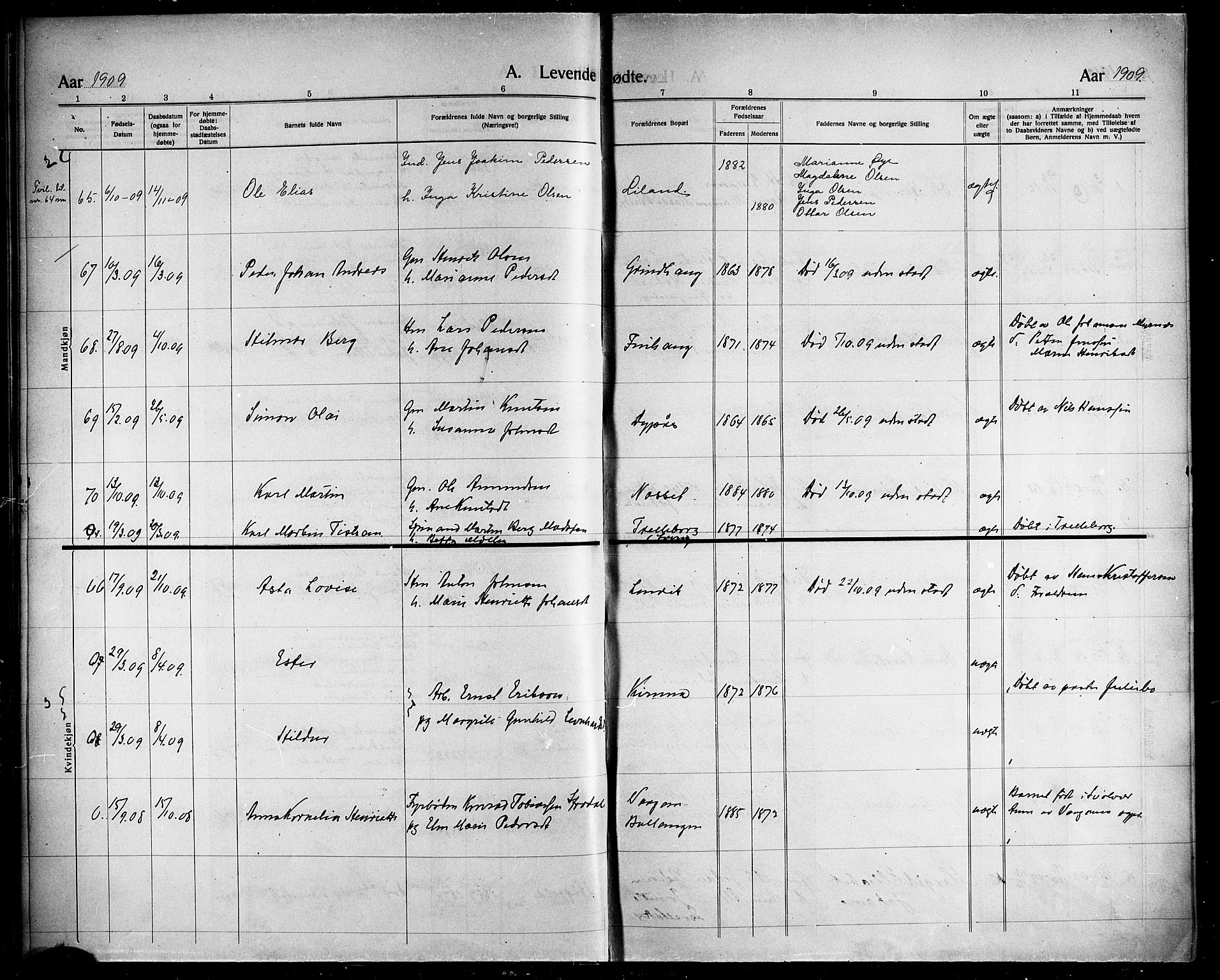 Ministerialprotokoller, klokkerbøker og fødselsregistre - Nordland, AV/SAT-A-1459/863/L0916: Parish register (copy) no. 863C06, 1907-1921