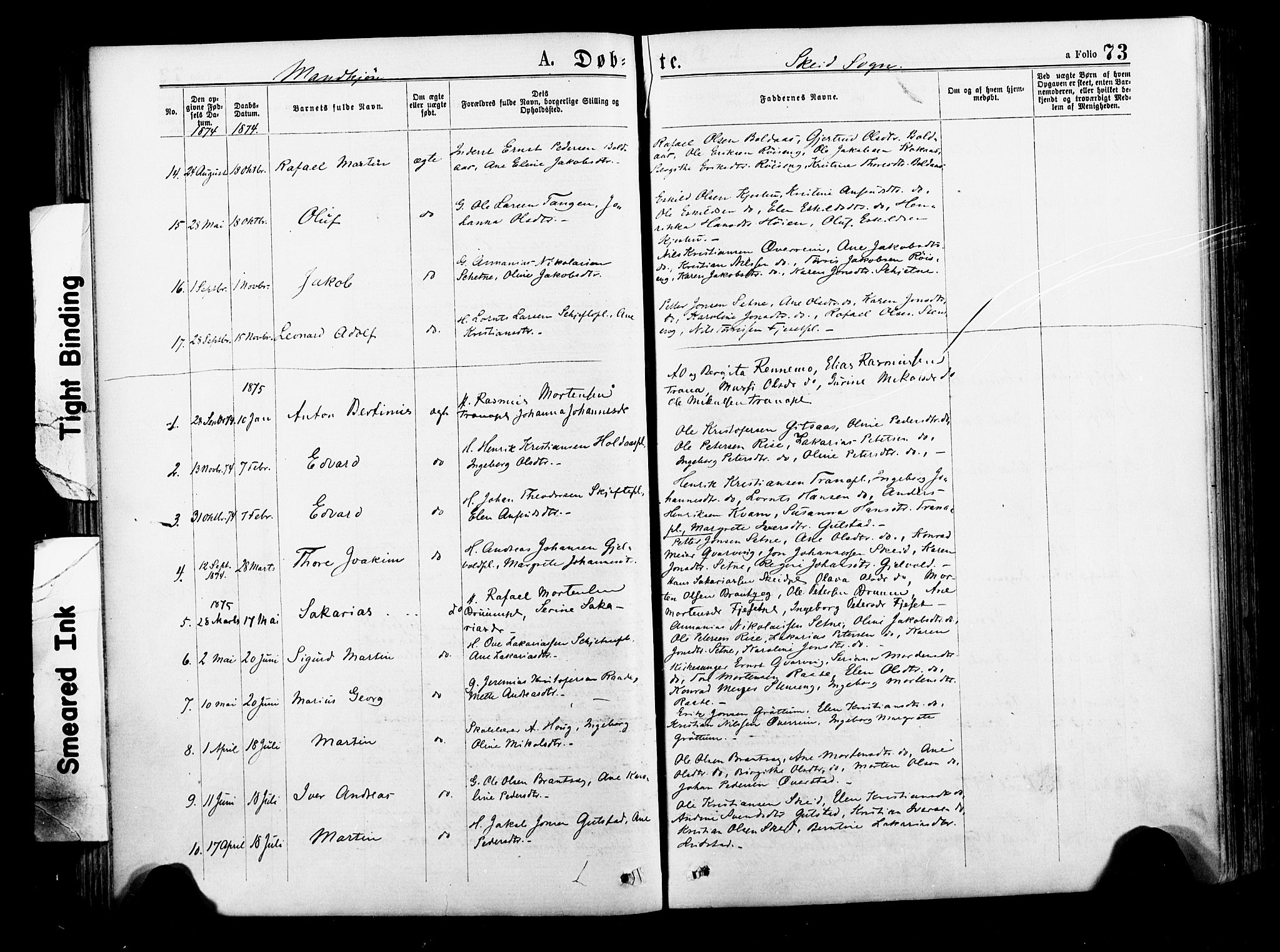 Ministerialprotokoller, klokkerbøker og fødselsregistre - Nord-Trøndelag, SAT/A-1458/735/L0348: Parish register (official) no. 735A09 /2, 1873-1883, p. 73