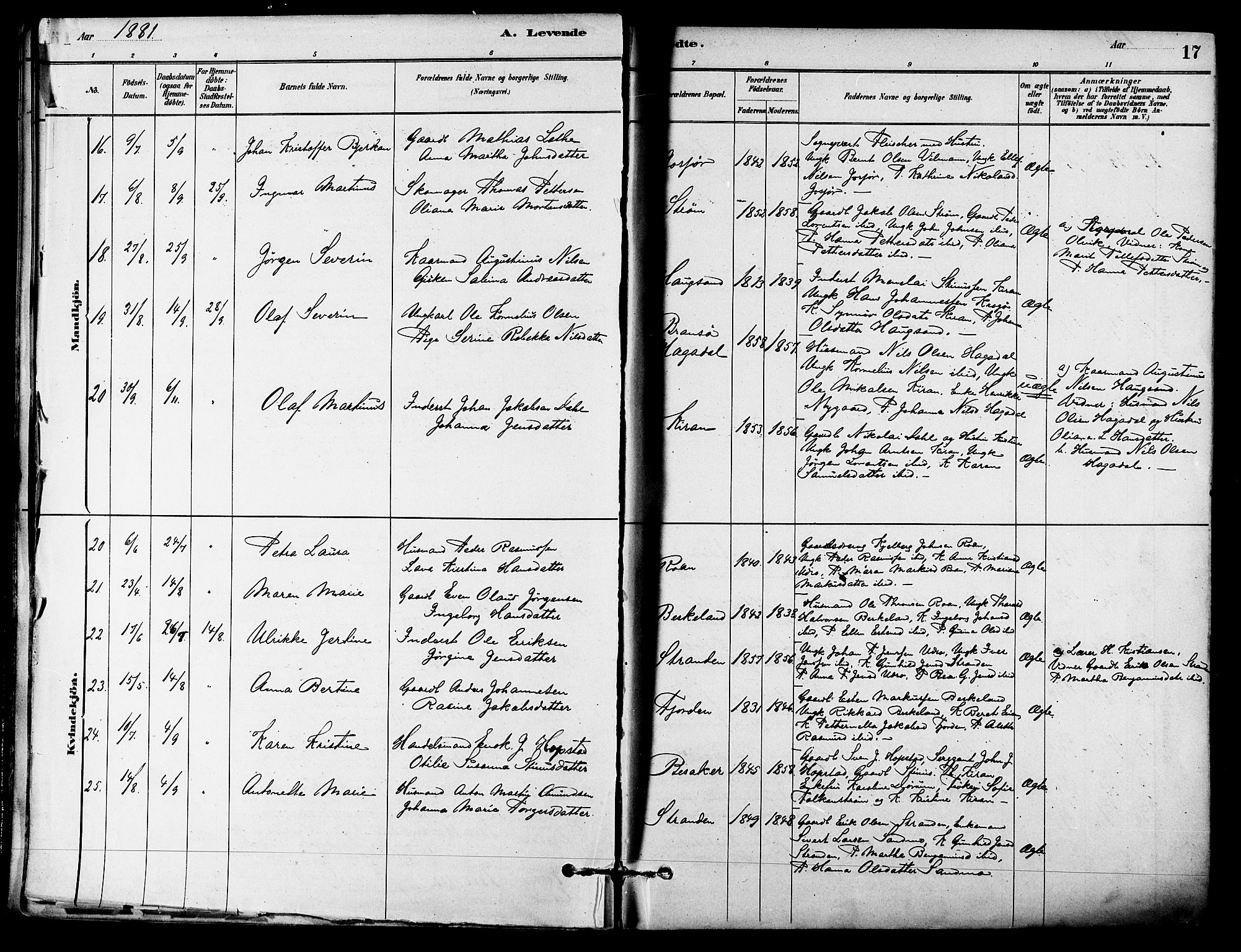 Ministerialprotokoller, klokkerbøker og fødselsregistre - Sør-Trøndelag, SAT/A-1456/657/L0707: Parish register (official) no. 657A08, 1879-1893, p. 17