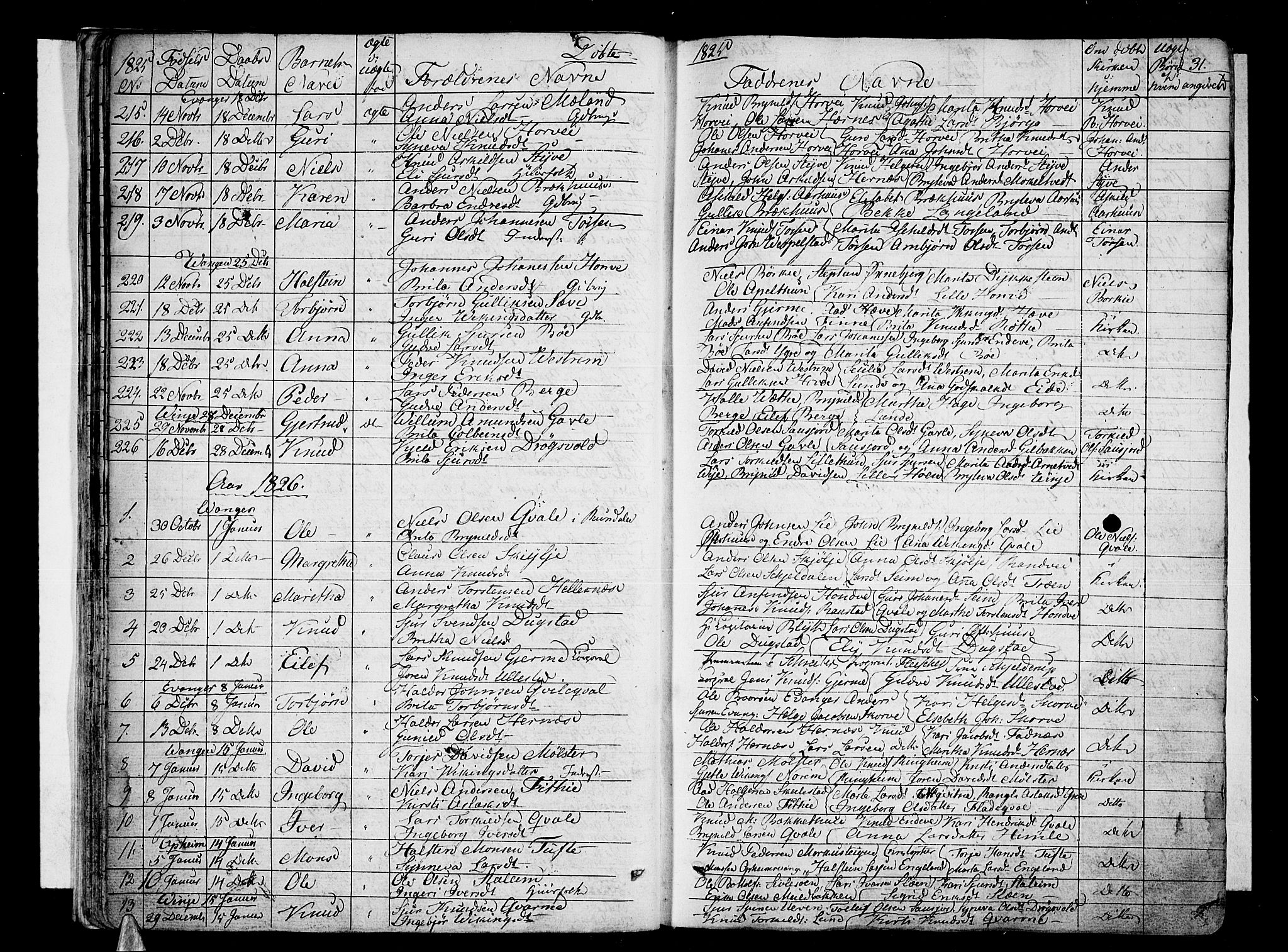Voss sokneprestembete, AV/SAB-A-79001/H/Haa: Parish register (official) no. A 12, 1823-1837, p. 31
