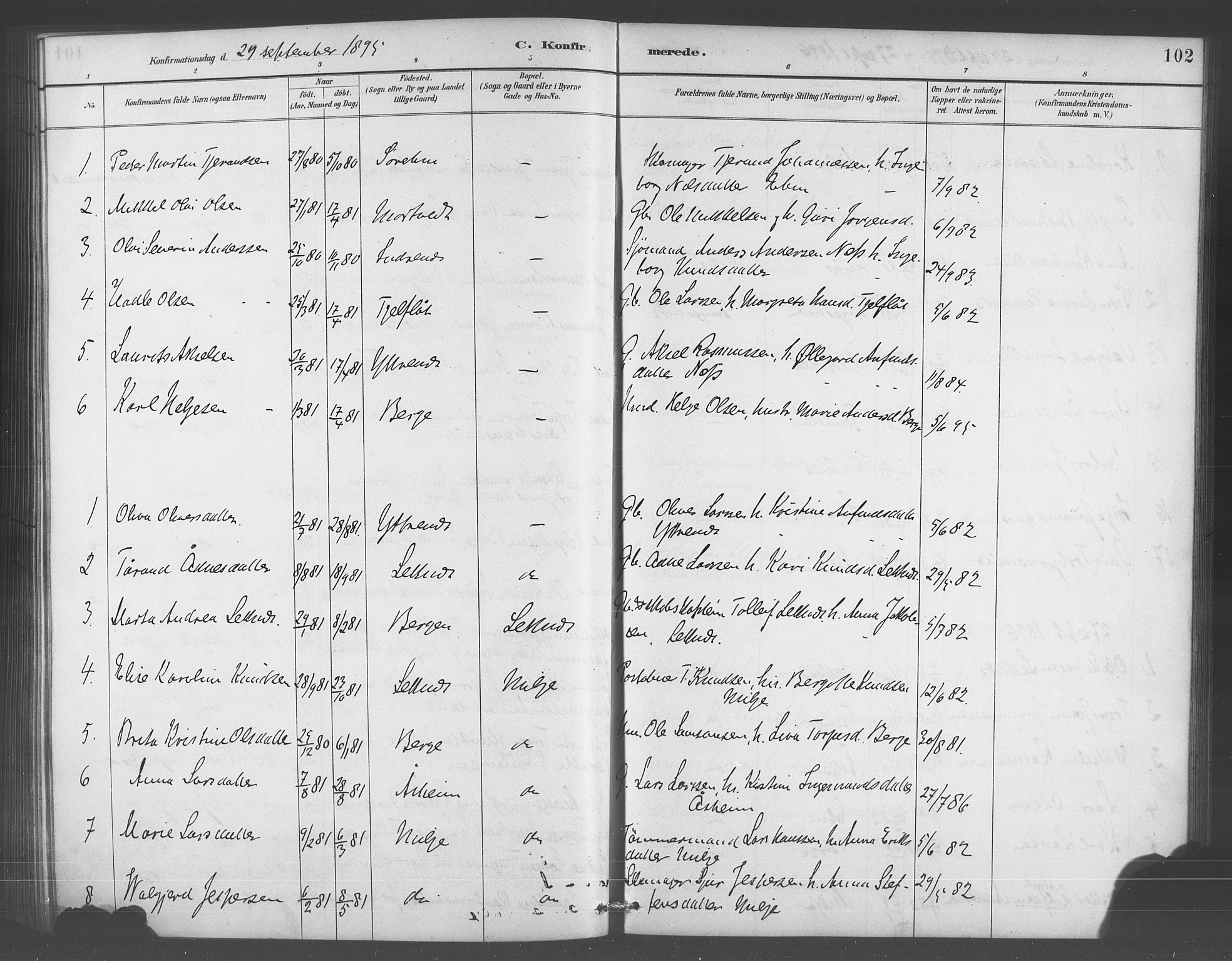 Skånevik sokneprestembete, AV/SAB-A-77801/H/Hab: Parish register (copy) no. A 2, 1888-1924, p. 102