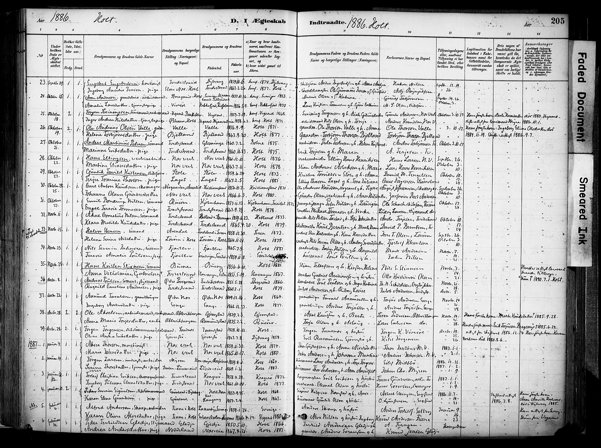 Holt sokneprestkontor, AV/SAK-1111-0021/F/Fa/L0012: Parish register (official) no. A 12, 1885-1907, p. 205