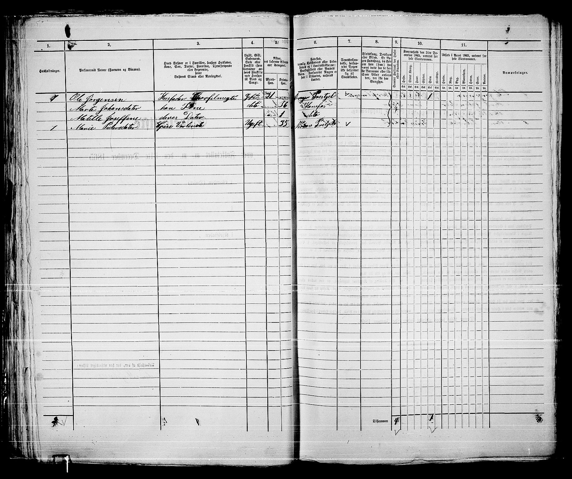 RA, 1865 census for Norderhov/Hønefoss, 1865, p. 49