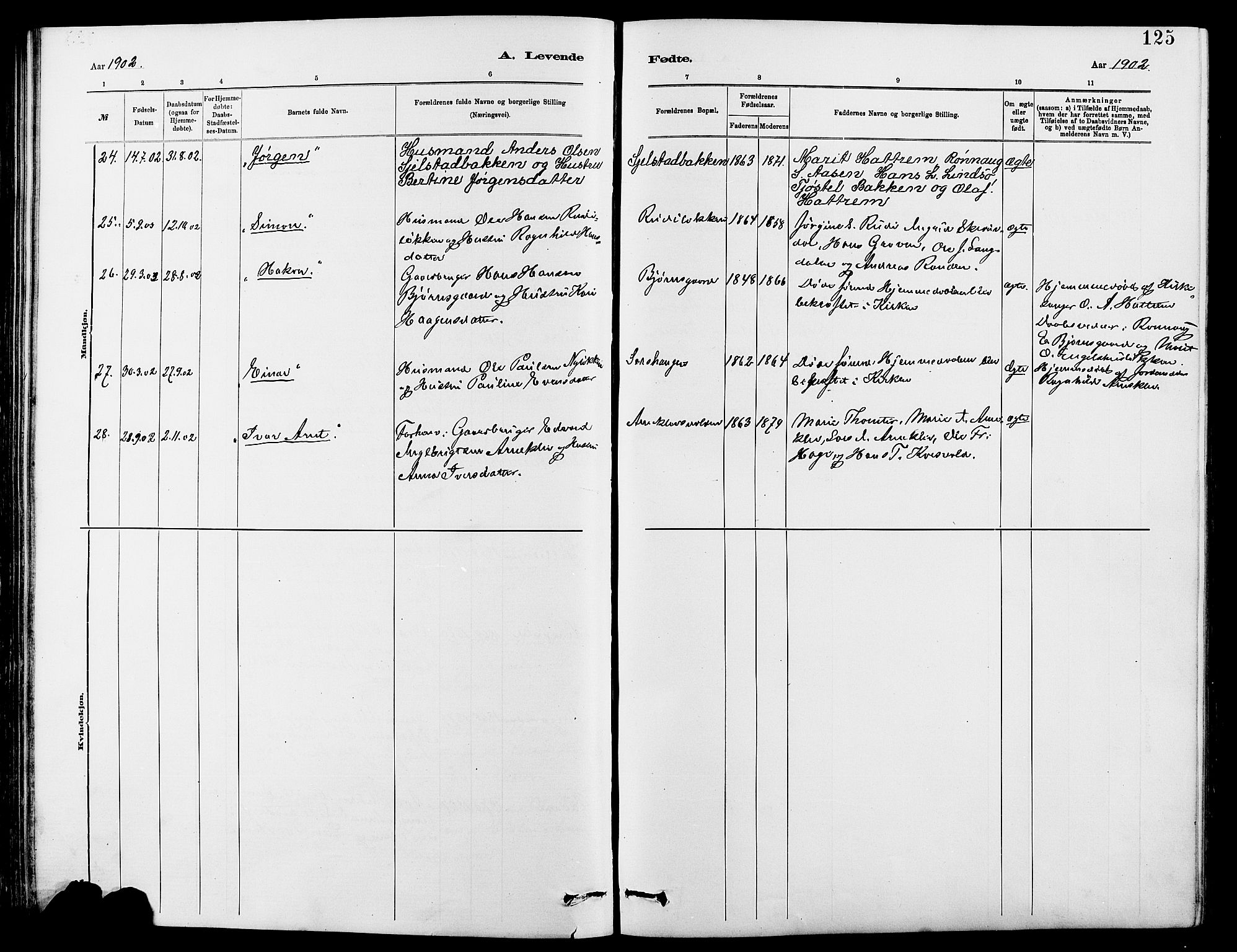 Dovre prestekontor, SAH/PREST-066/H/Ha/Hab/L0002: Parish register (copy) no. 2, 1881-1907, p. 125