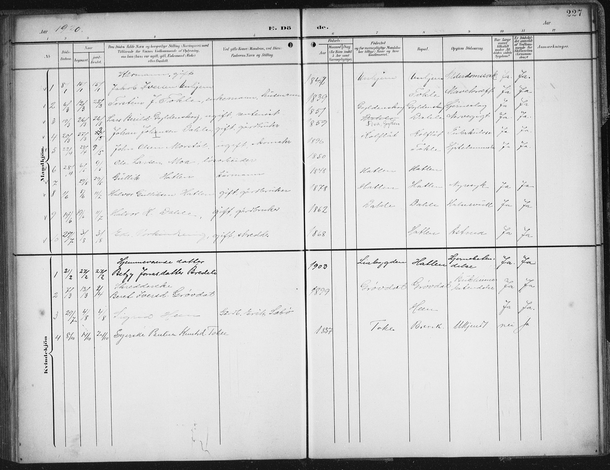 Ministerialprotokoller, klokkerbøker og fødselsregistre - Møre og Romsdal, SAT/A-1454/545/L0589: Parish register (copy) no. 545C03, 1902-1937, p. 227