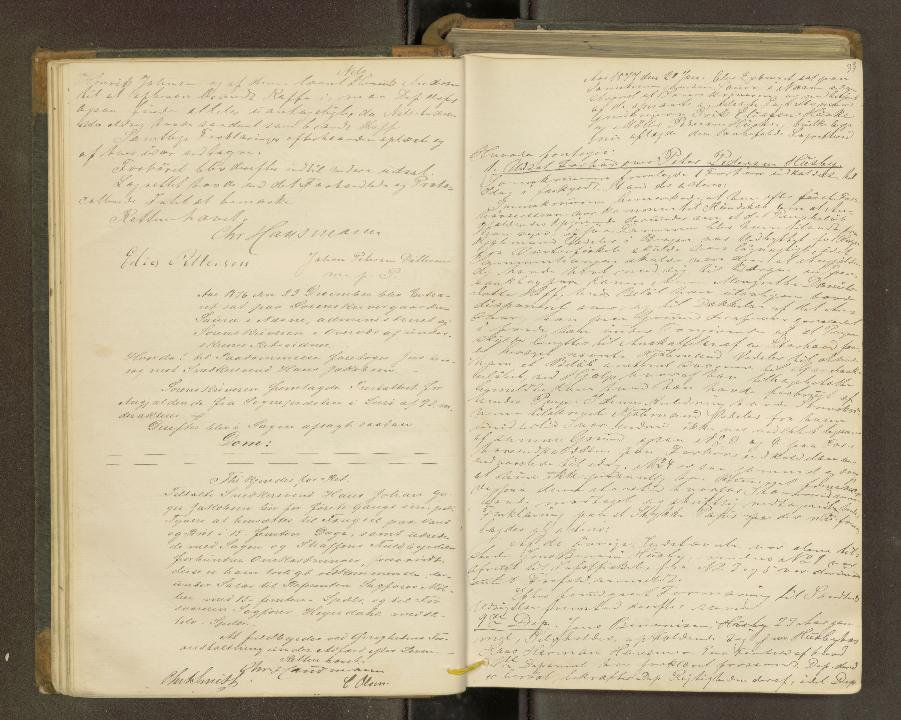 Rana sorenskriveri , AV/SAT-A-1108/1/1/1B/L0011: Ekstrarettsprotokoll, 1876-1885, p. 32b-33a