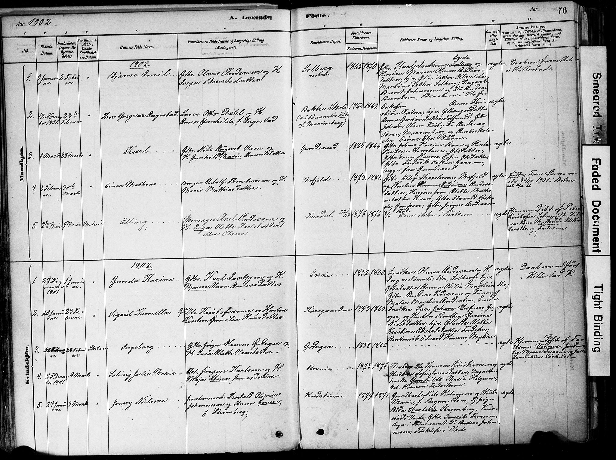 Botne kirkebøker, AV/SAKO-A-340/F/Fa/L0007: Parish register (official) no. I 7, 1878-1910, p. 76