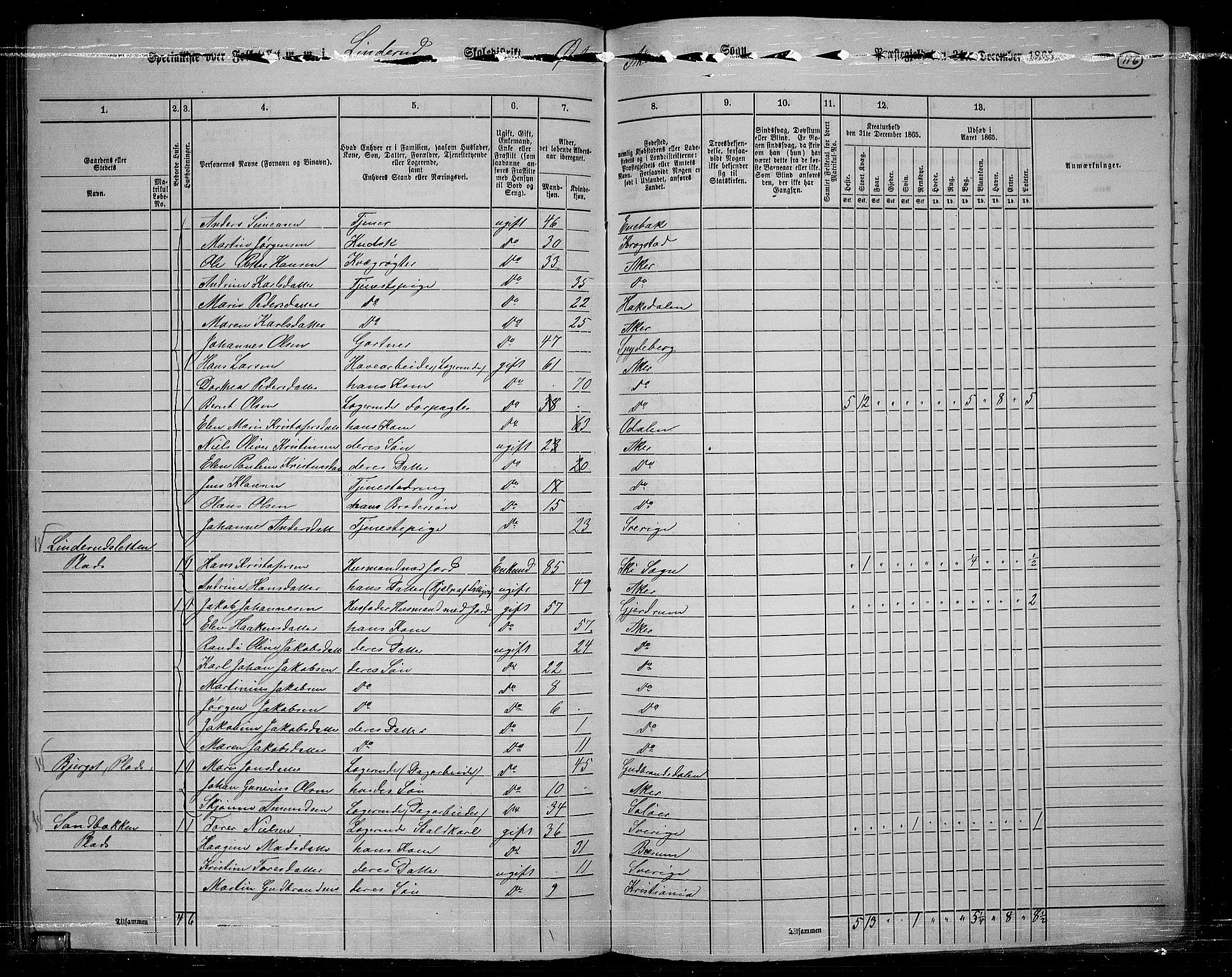 RA, 1865 census for Østre Aker, 1865, p. 109