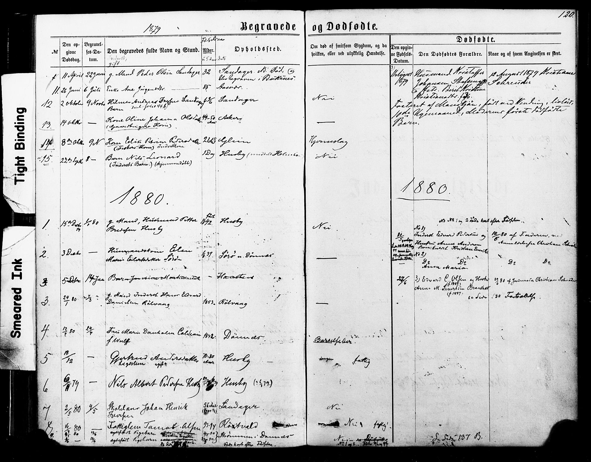Ministerialprotokoller, klokkerbøker og fødselsregistre - Nordland, SAT/A-1459/835/L0524: Parish register (official) no. 835A02, 1865-1880, p. 120