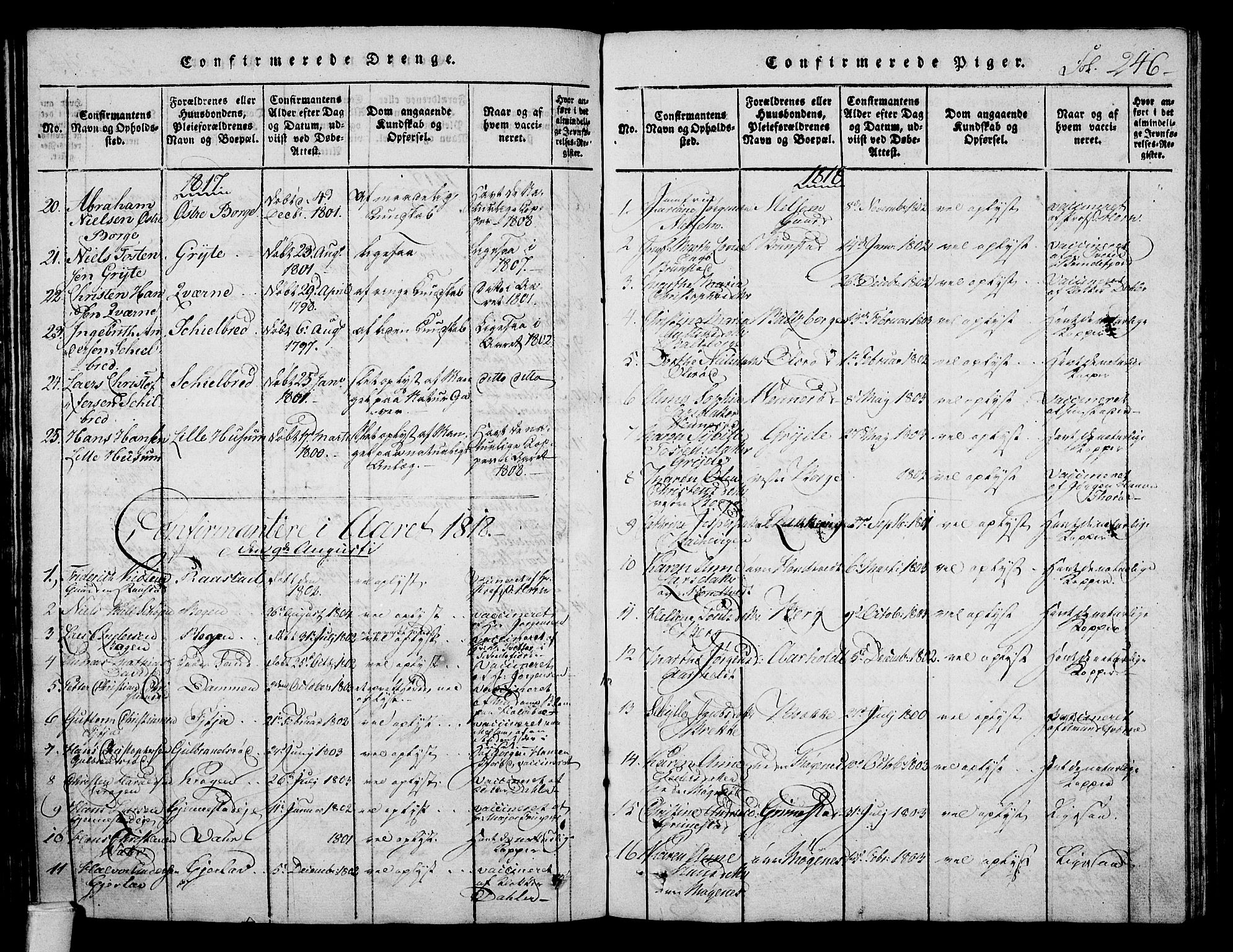 Stokke kirkebøker, AV/SAKO-A-320/F/Fa/L0005: Parish register (official) no. I 5, 1815-1826, p. 246