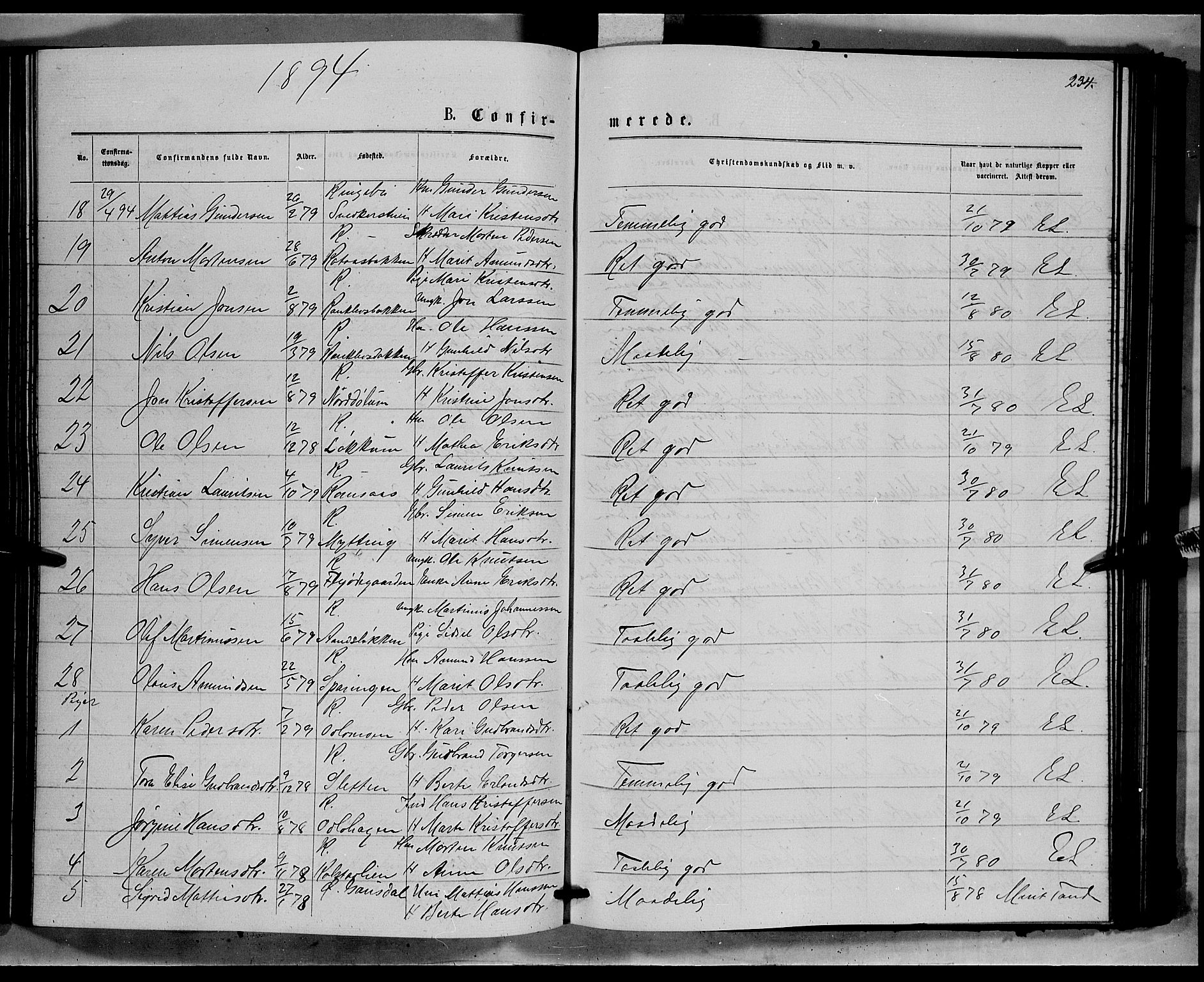 Ringebu prestekontor, SAH/PREST-082/H/Ha/Hab/L0006: Parish register (copy) no. 6, 1880-1898, p. 234
