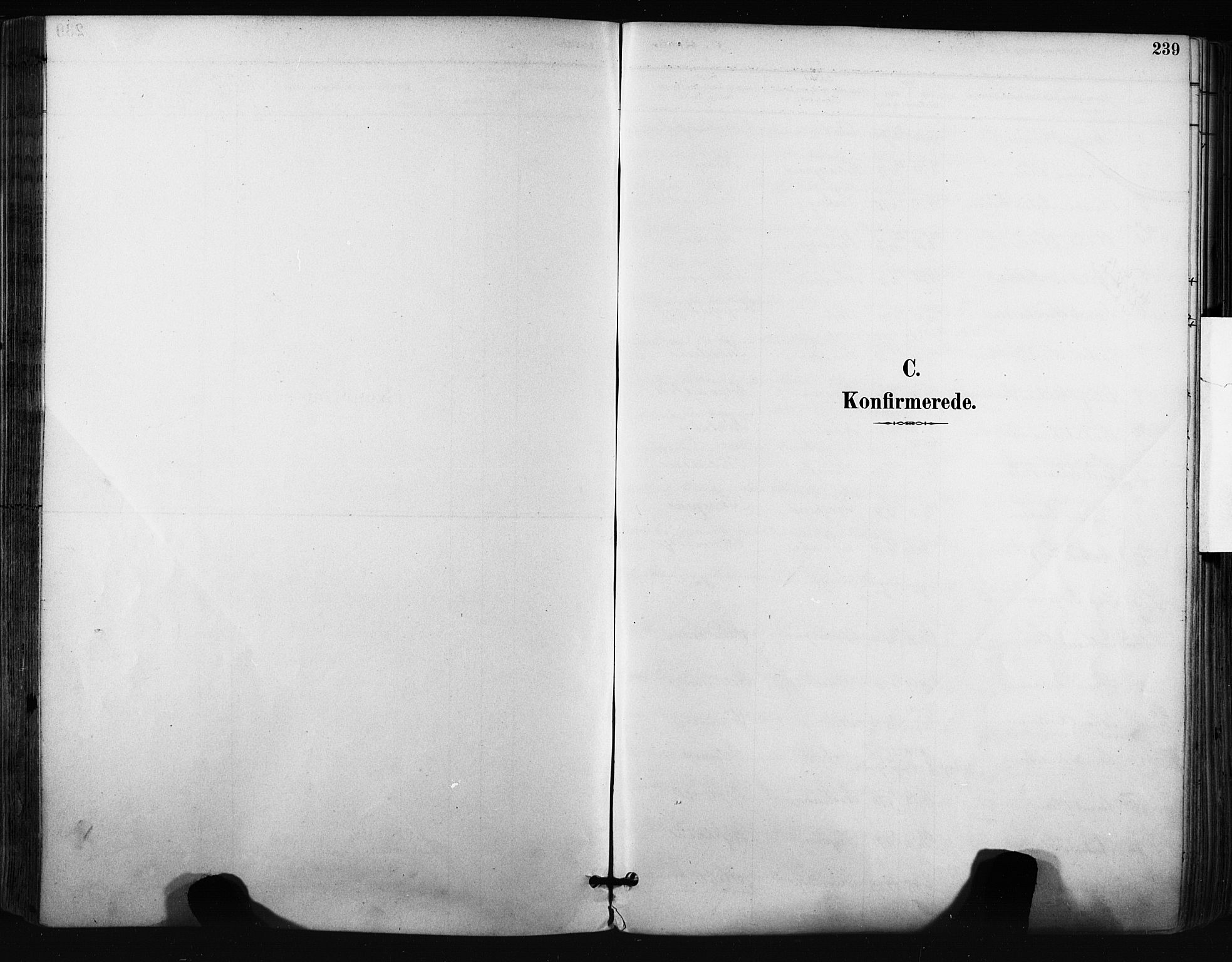 Norderhov kirkebøker, SAKO/A-237/F/Fa/L0016: Parish register (official) no. 16, 1885-1902, p. 239