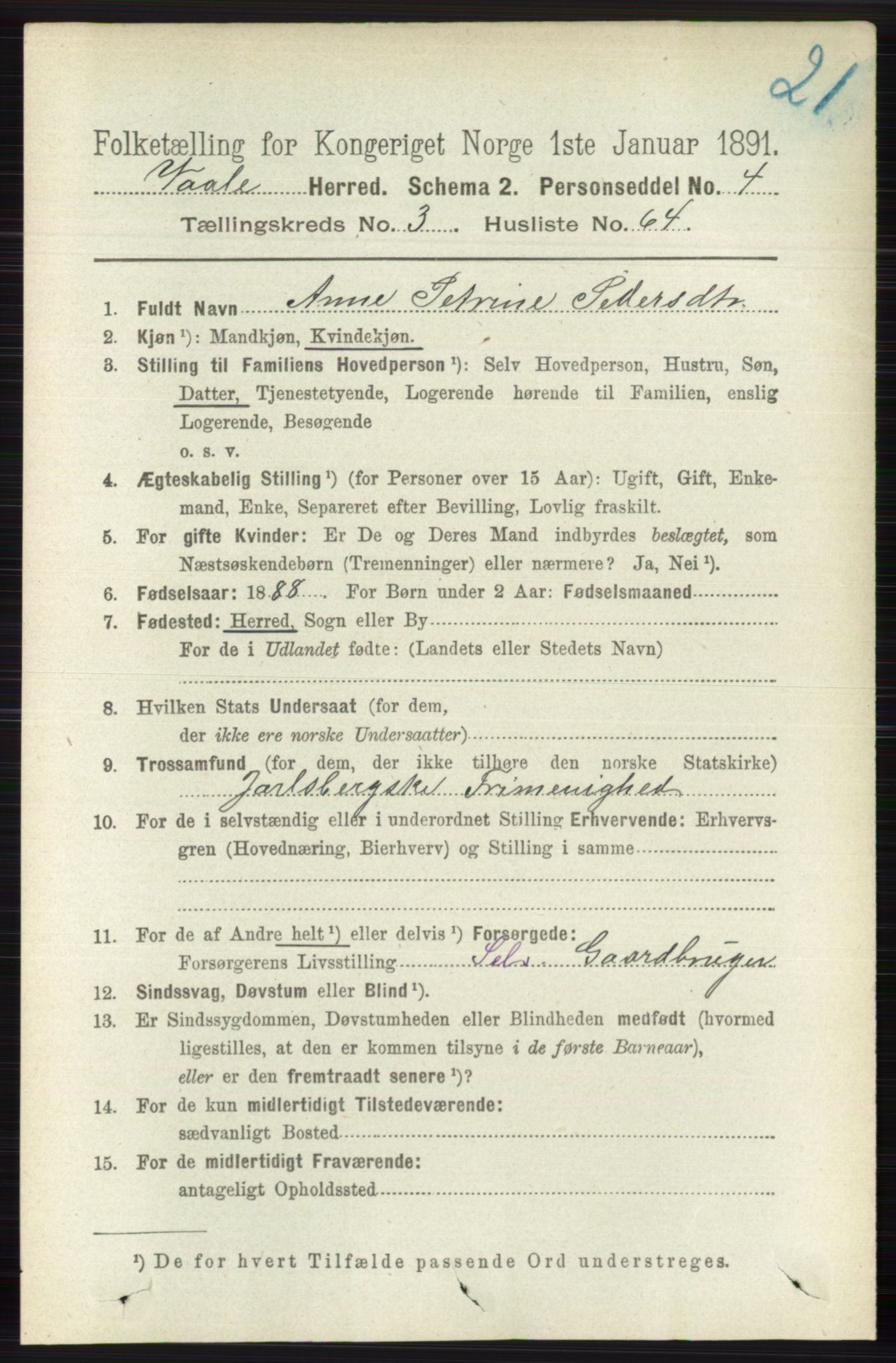 RA, 1891 census for 0716 Våle, 1891, p. 915