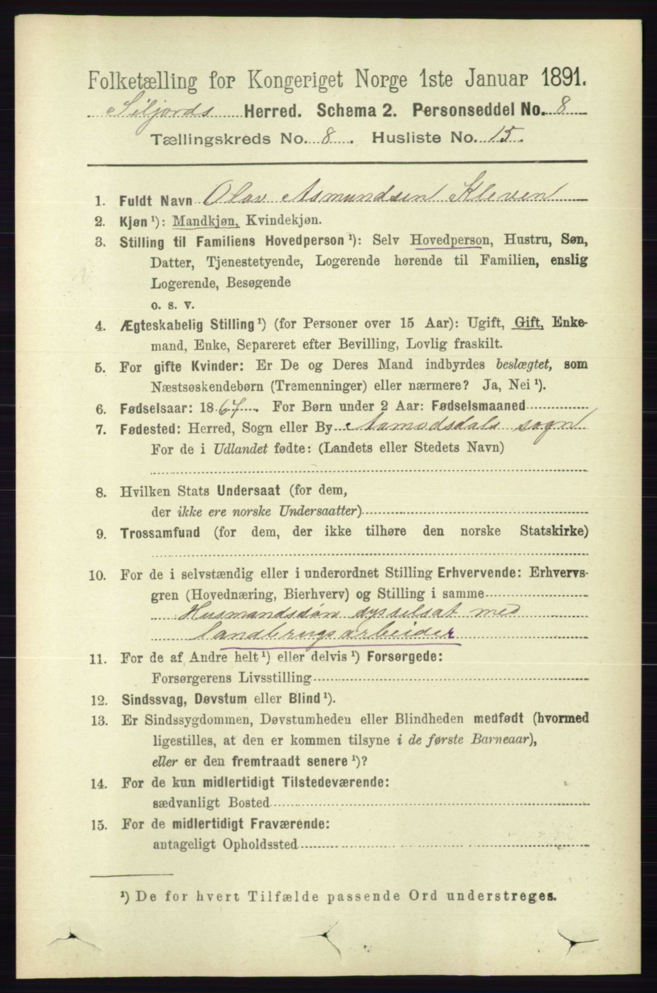 RA, 1891 census for 0828 Seljord, 1891, p. 2964