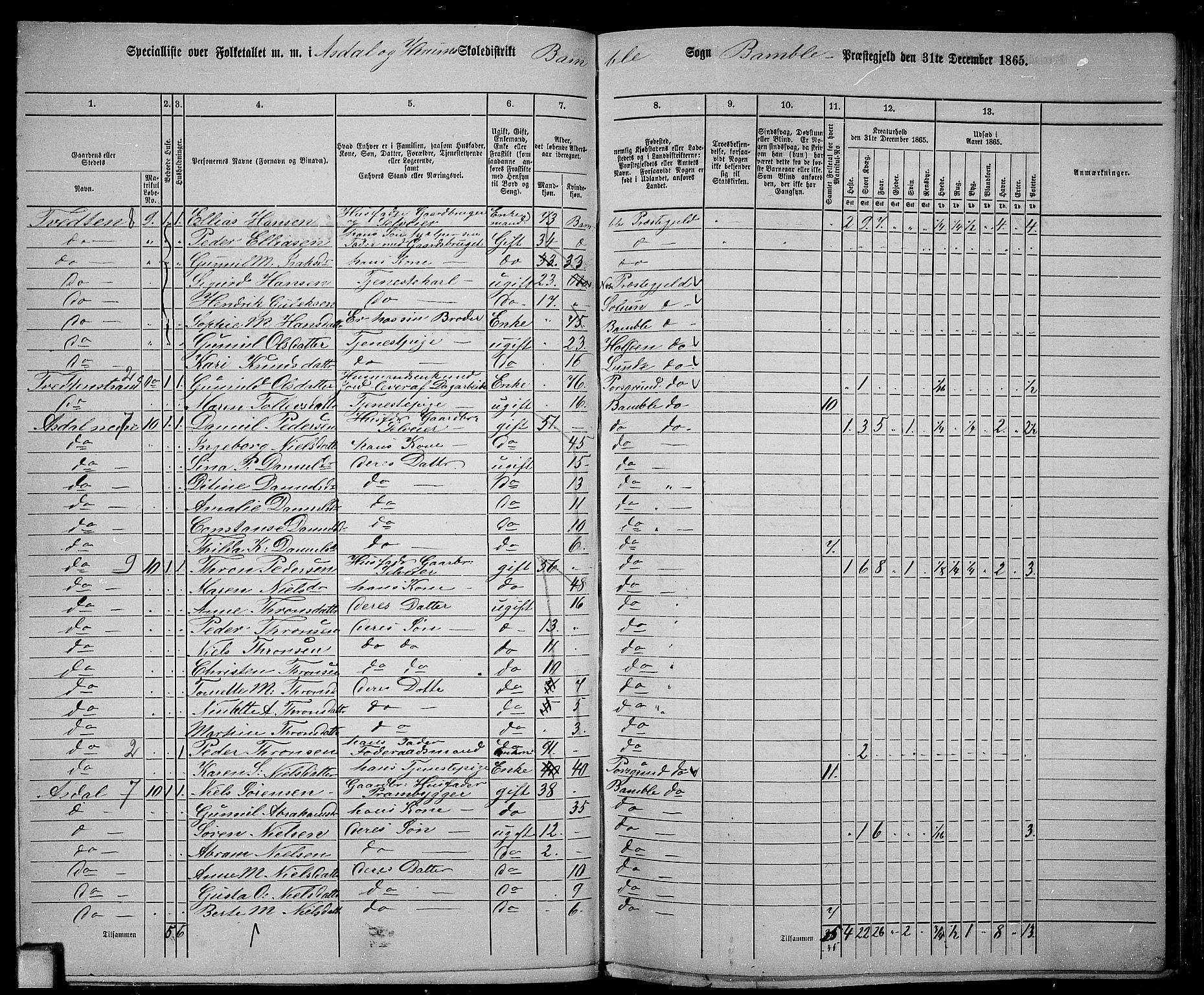 RA, 1865 census for Bamble, 1865, p. 45