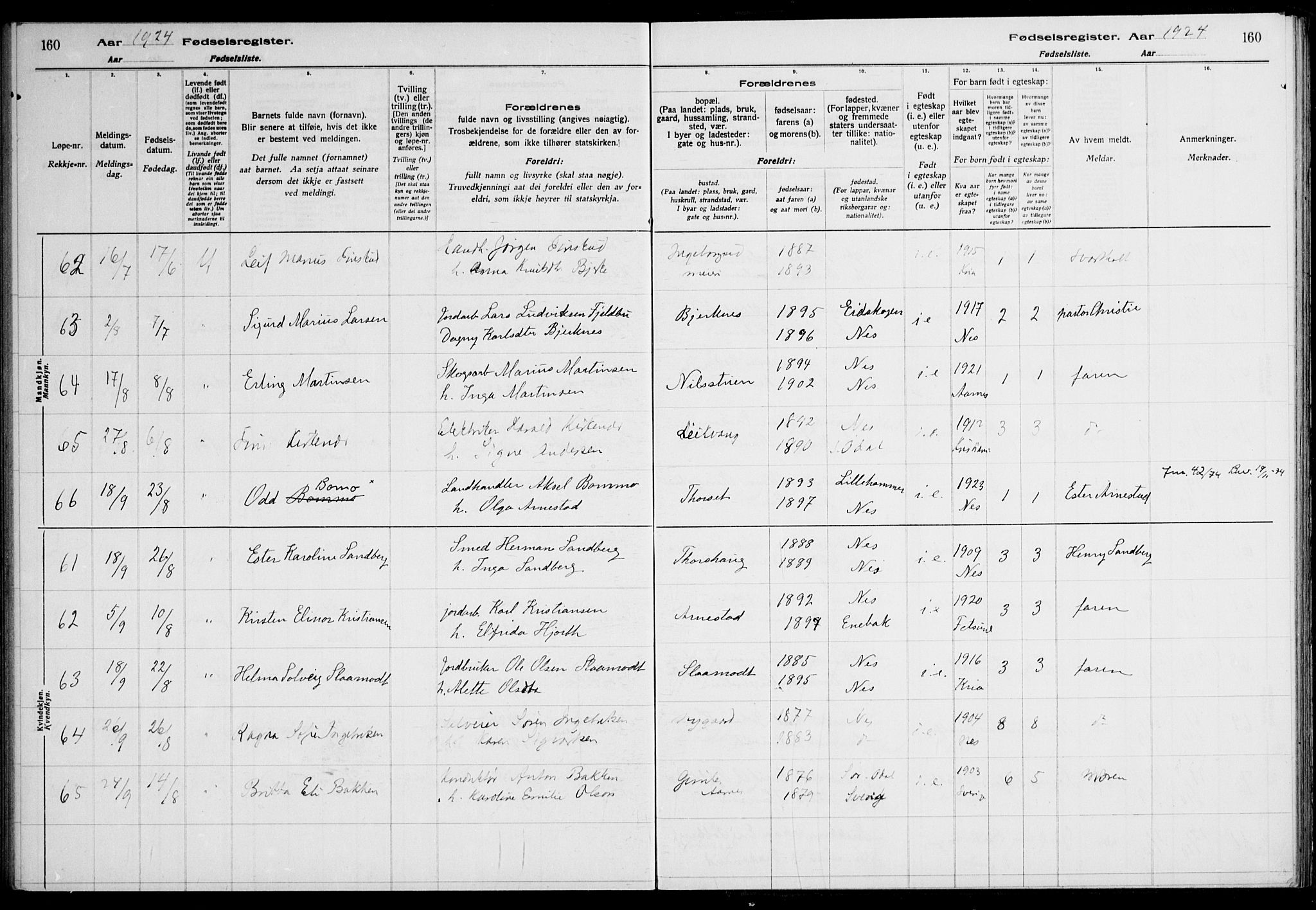 Nes prestekontor Kirkebøker, AV/SAO-A-10410/J/Ja/L0001: Birth register no. 1, 1916-1926, p. 160