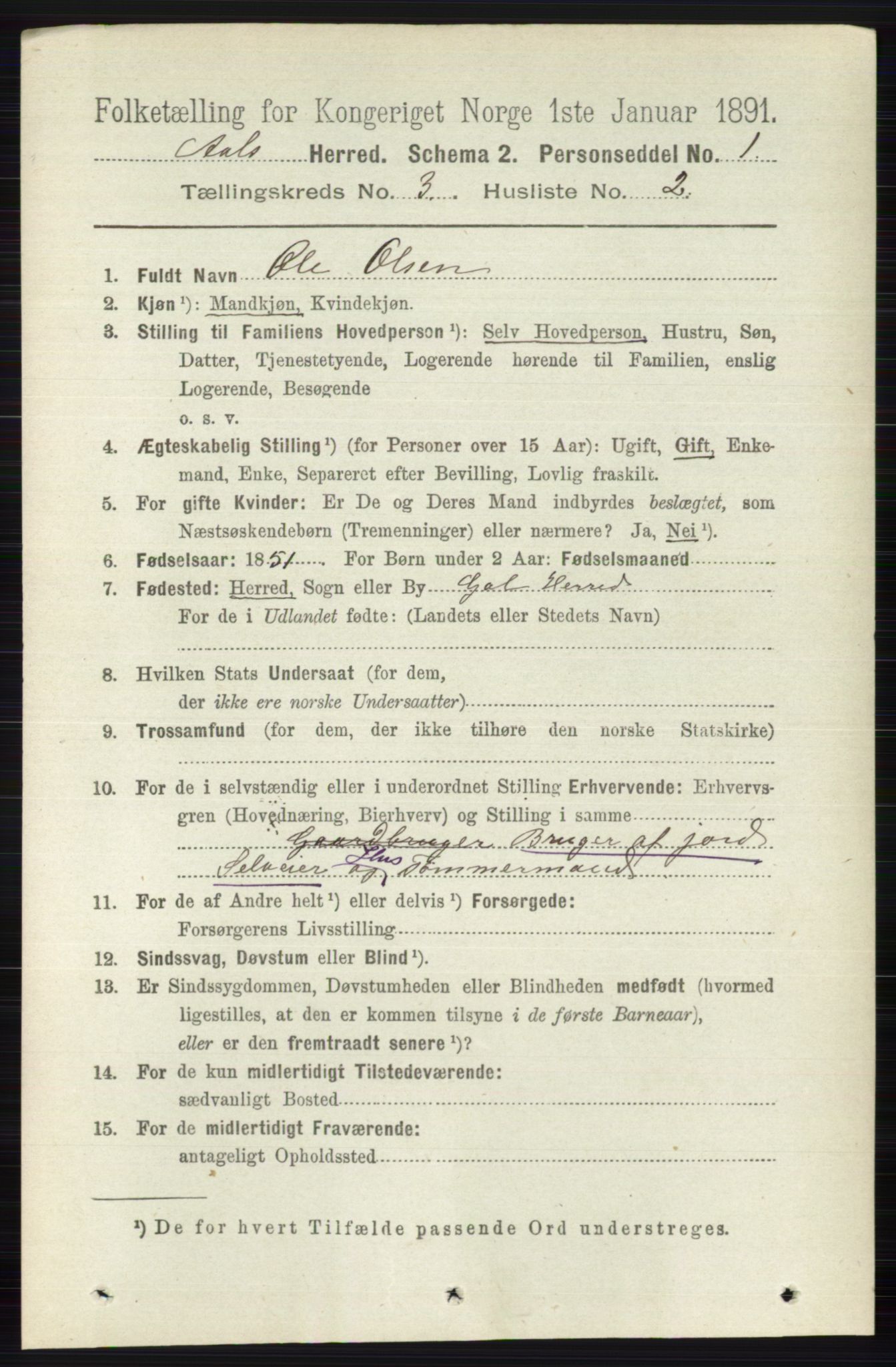 RA, 1891 census for 0619 Ål, 1891, p. 658