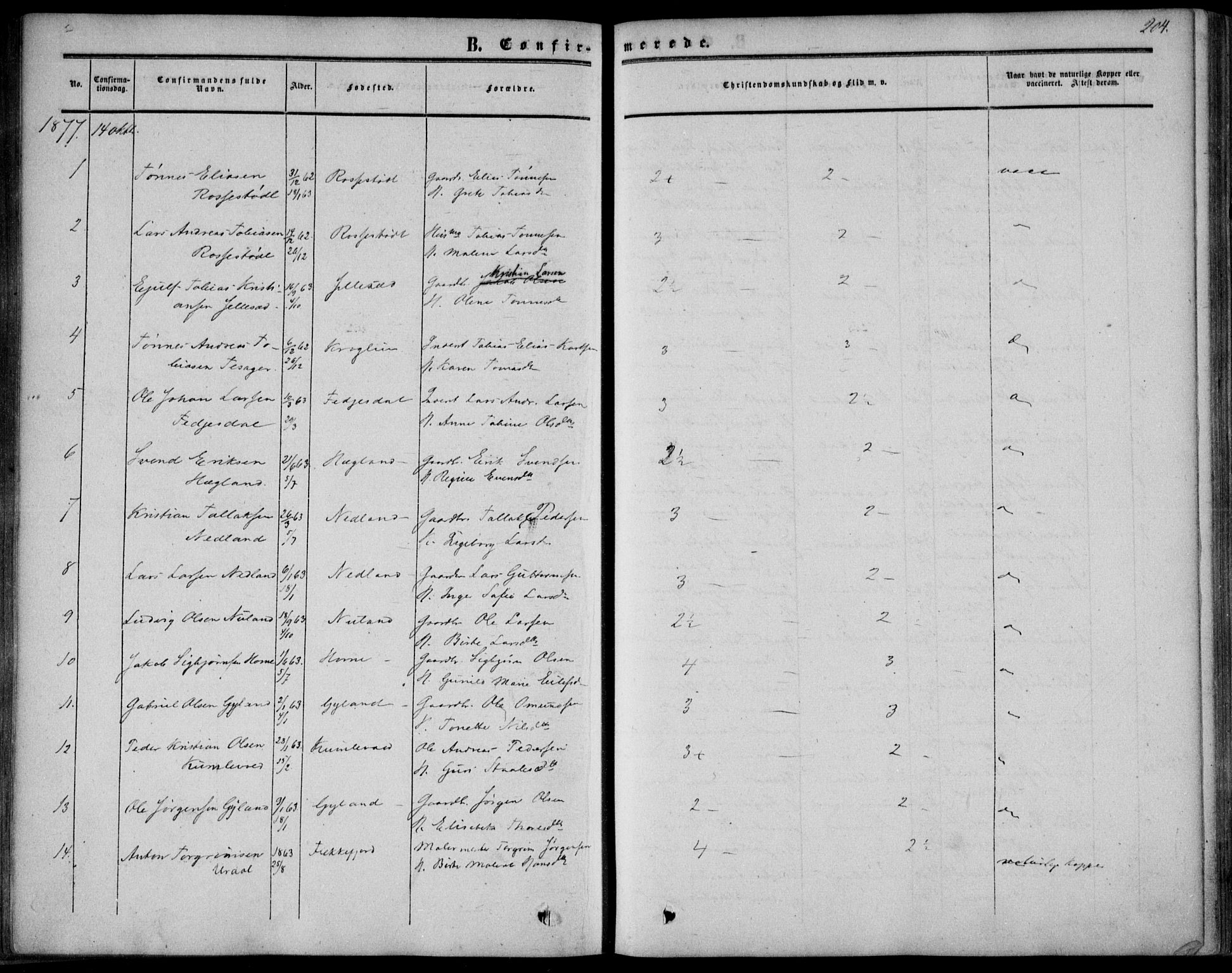 Bakke sokneprestkontor, SAK/1111-0002/F/Fa/Fab/L0002: Parish register (official) no. A 2, 1855-1884, p. 204