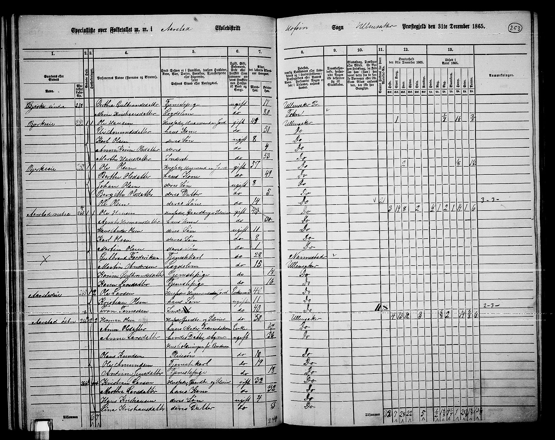 RA, 1865 census for Ullensaker, 1865, p. 225