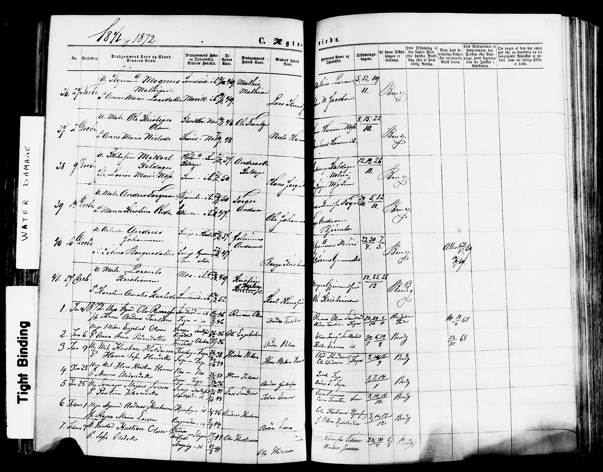 Nøtterøy kirkebøker, SAKO/A-354/F/Fa/L0007: Parish register (official) no. I 7, 1865-1877, p. 291