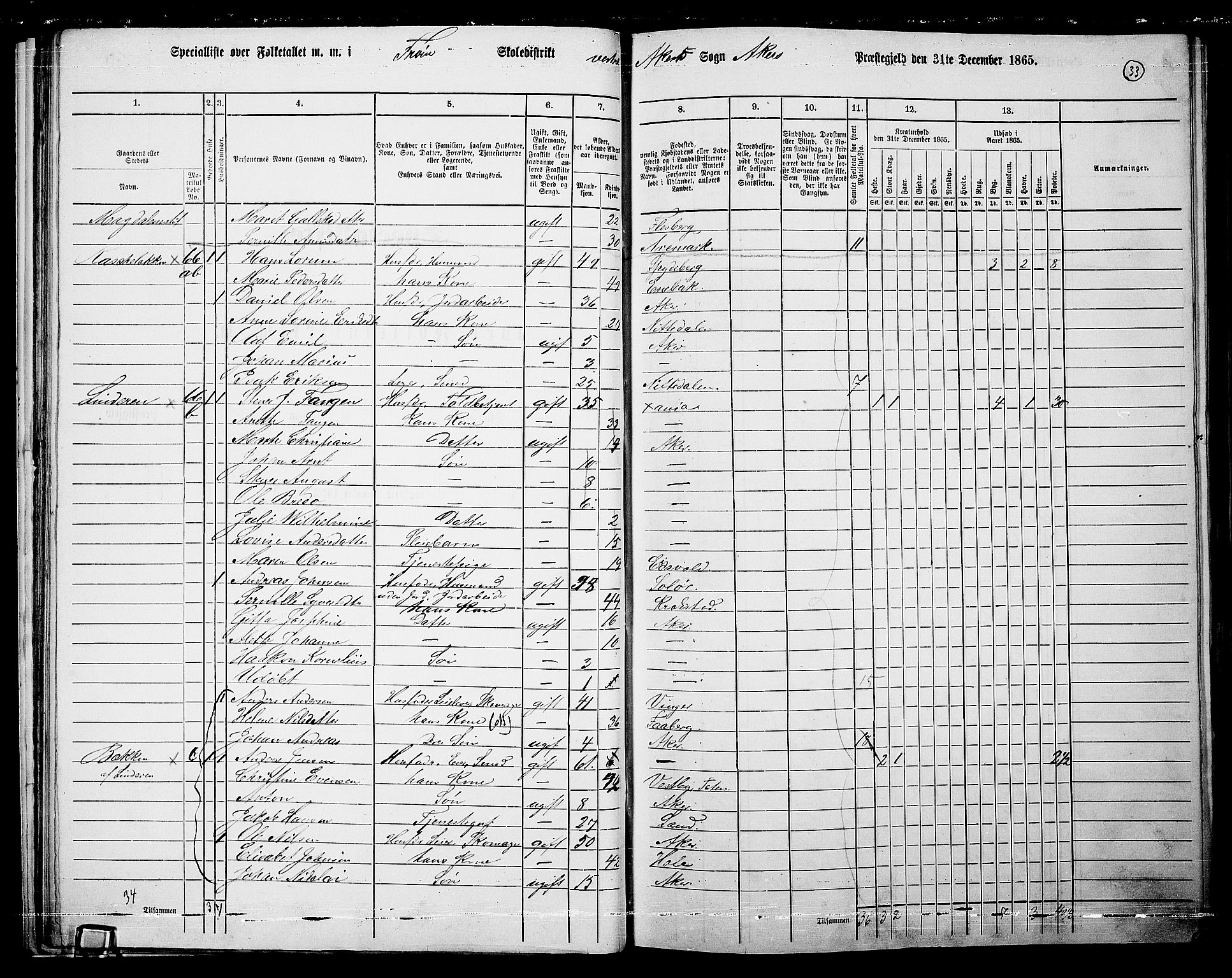 RA, 1865 census for Vestre Aker, 1865, p. 30