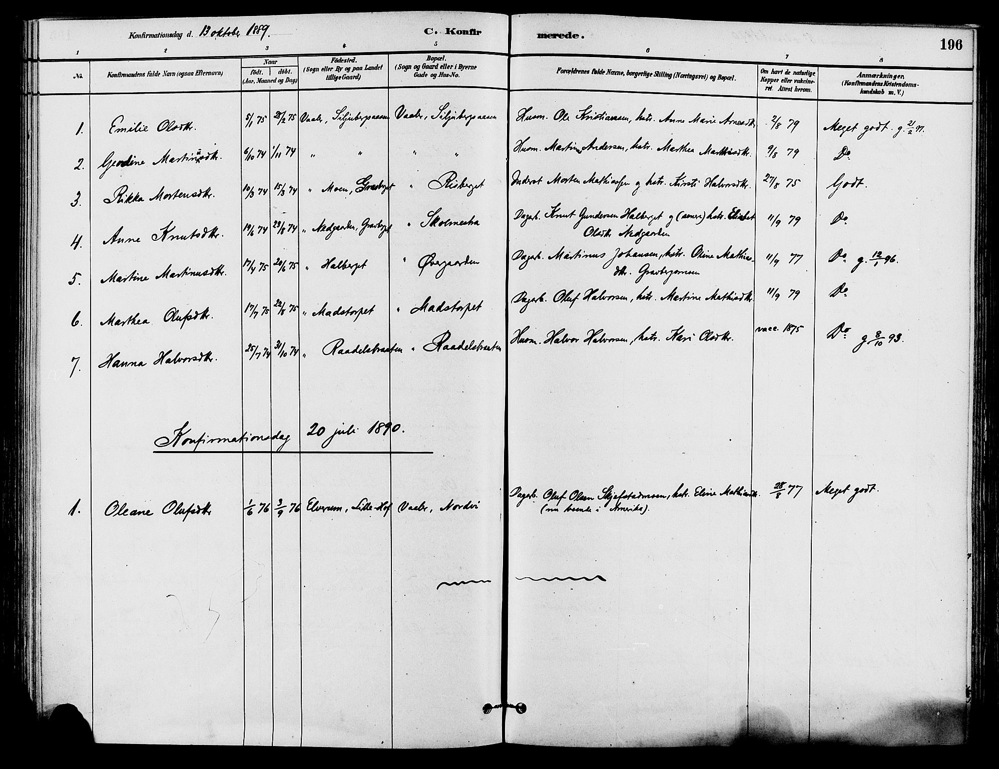 Våler prestekontor, Hedmark, AV/SAH-PREST-040/H/Ha/Haa/L0002: Parish register (official) no. 3, 1879-1911, p. 196