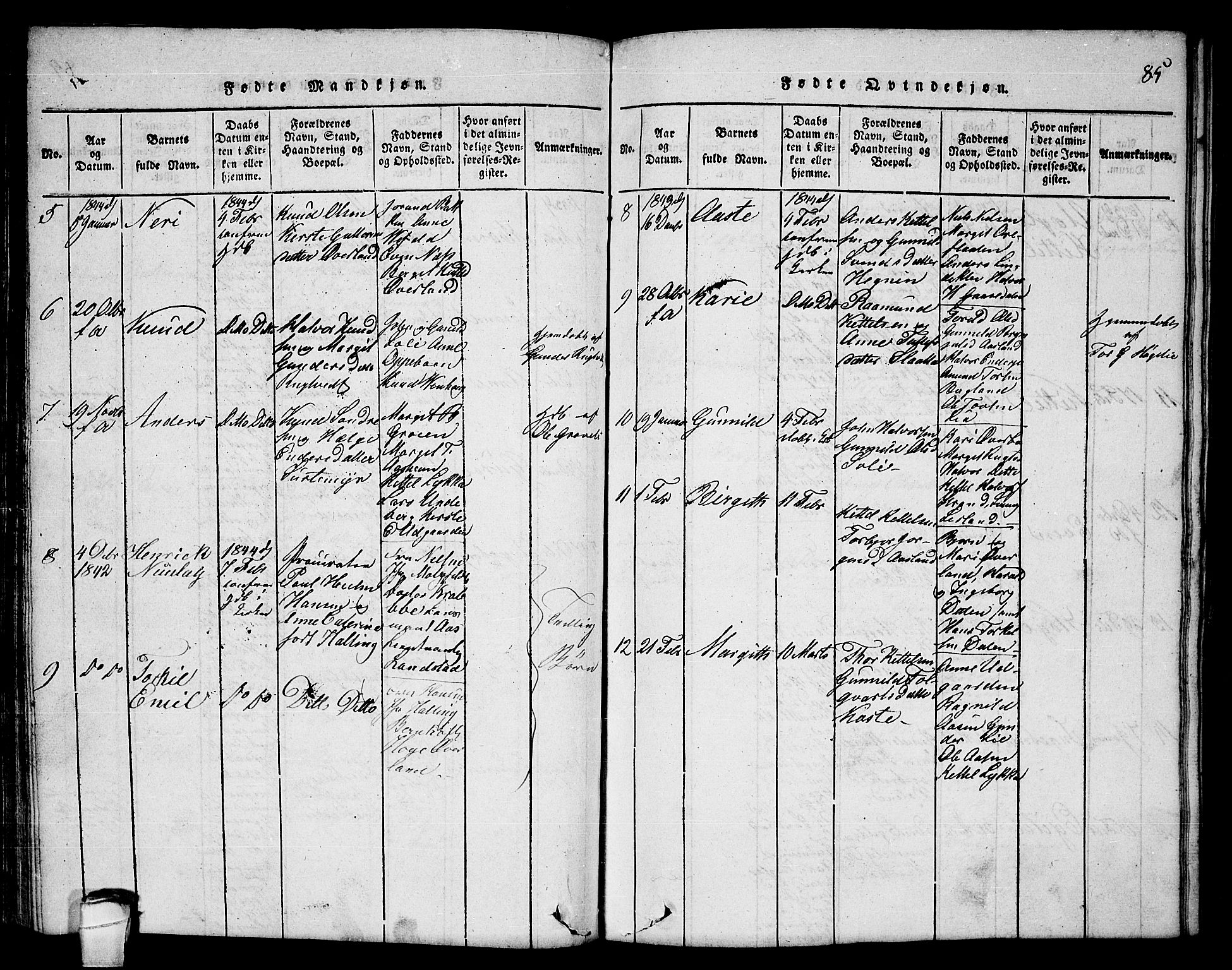 Seljord kirkebøker, AV/SAKO-A-20/F/Fc/L0001: Parish register (official) no. III 1, 1815-1831, p. 85