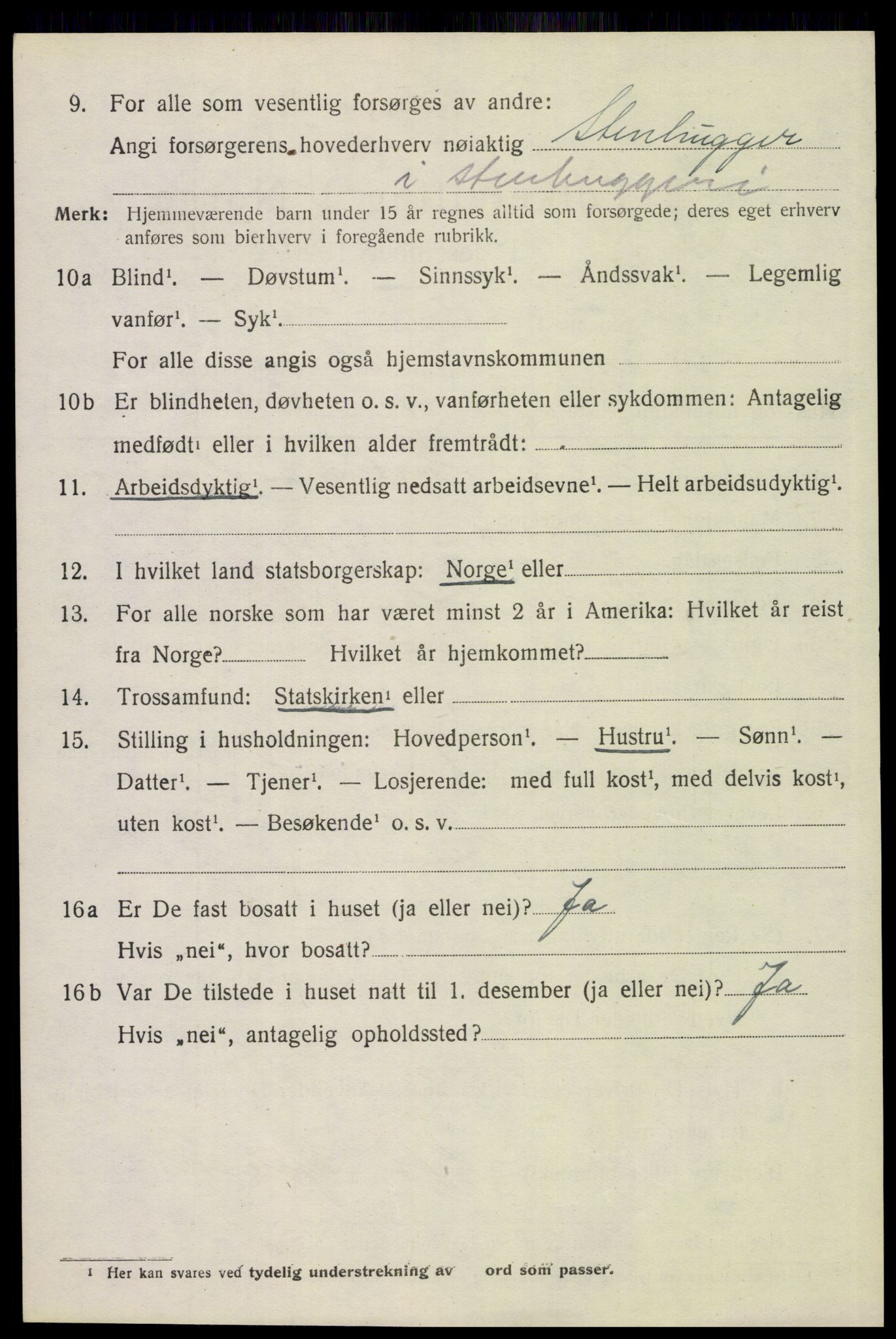 SAH, 1920 census for Åsnes, 1920, p. 8533