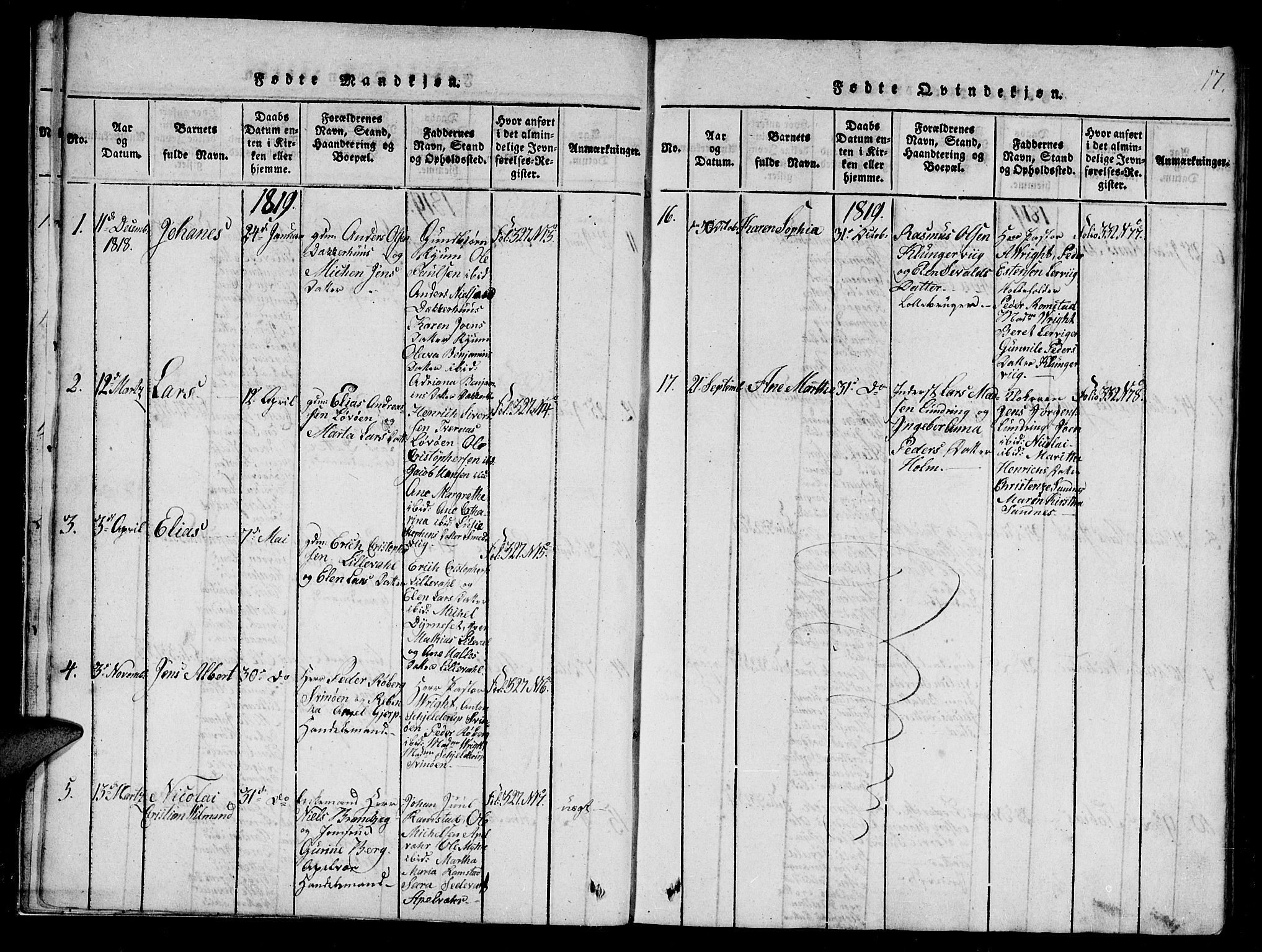 Ministerialprotokoller, klokkerbøker og fødselsregistre - Nord-Trøndelag, SAT/A-1458/784/L0667: Parish register (official) no. 784A03 /1, 1816-1829, p. 17