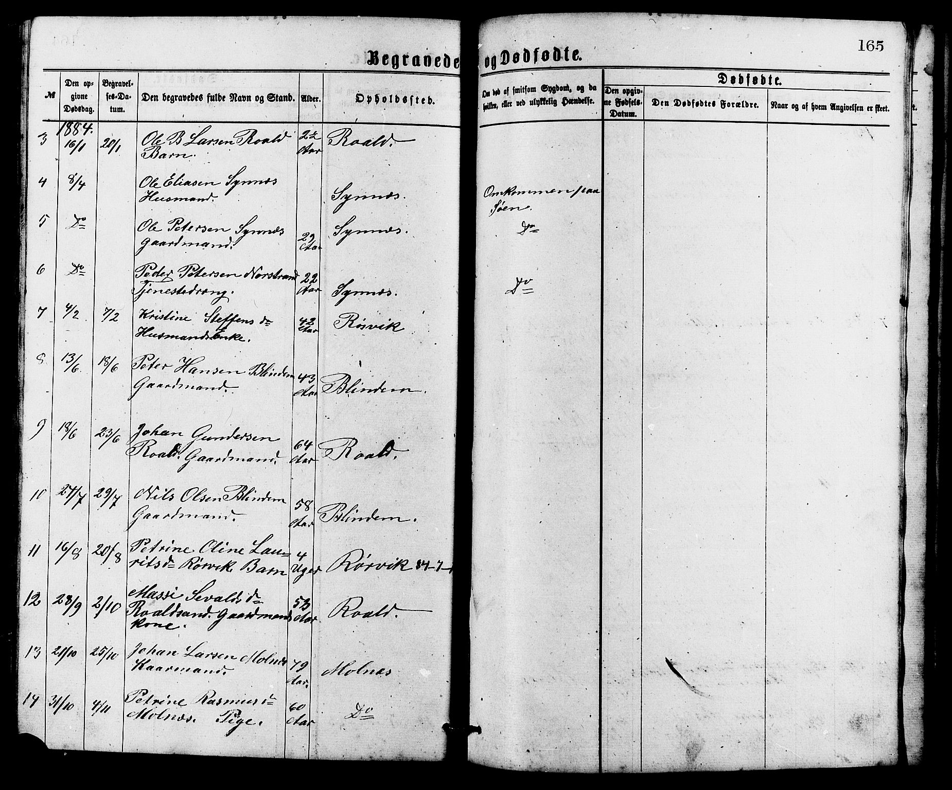 Ministerialprotokoller, klokkerbøker og fødselsregistre - Møre og Romsdal, AV/SAT-A-1454/537/L0521: Parish register (copy) no. 537C02, 1869-1888, p. 165