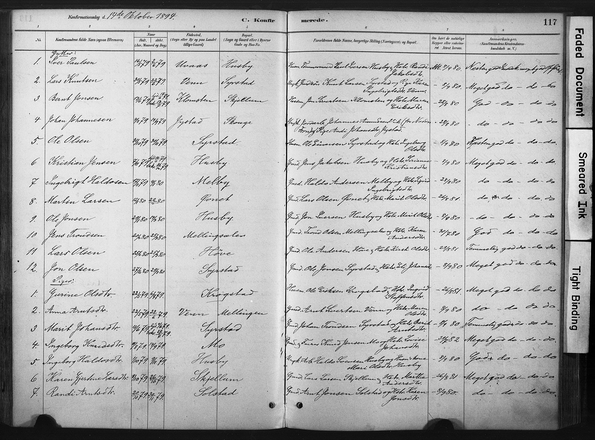 Ministerialprotokoller, klokkerbøker og fødselsregistre - Sør-Trøndelag, AV/SAT-A-1456/667/L0795: Parish register (official) no. 667A03, 1879-1907, p. 117