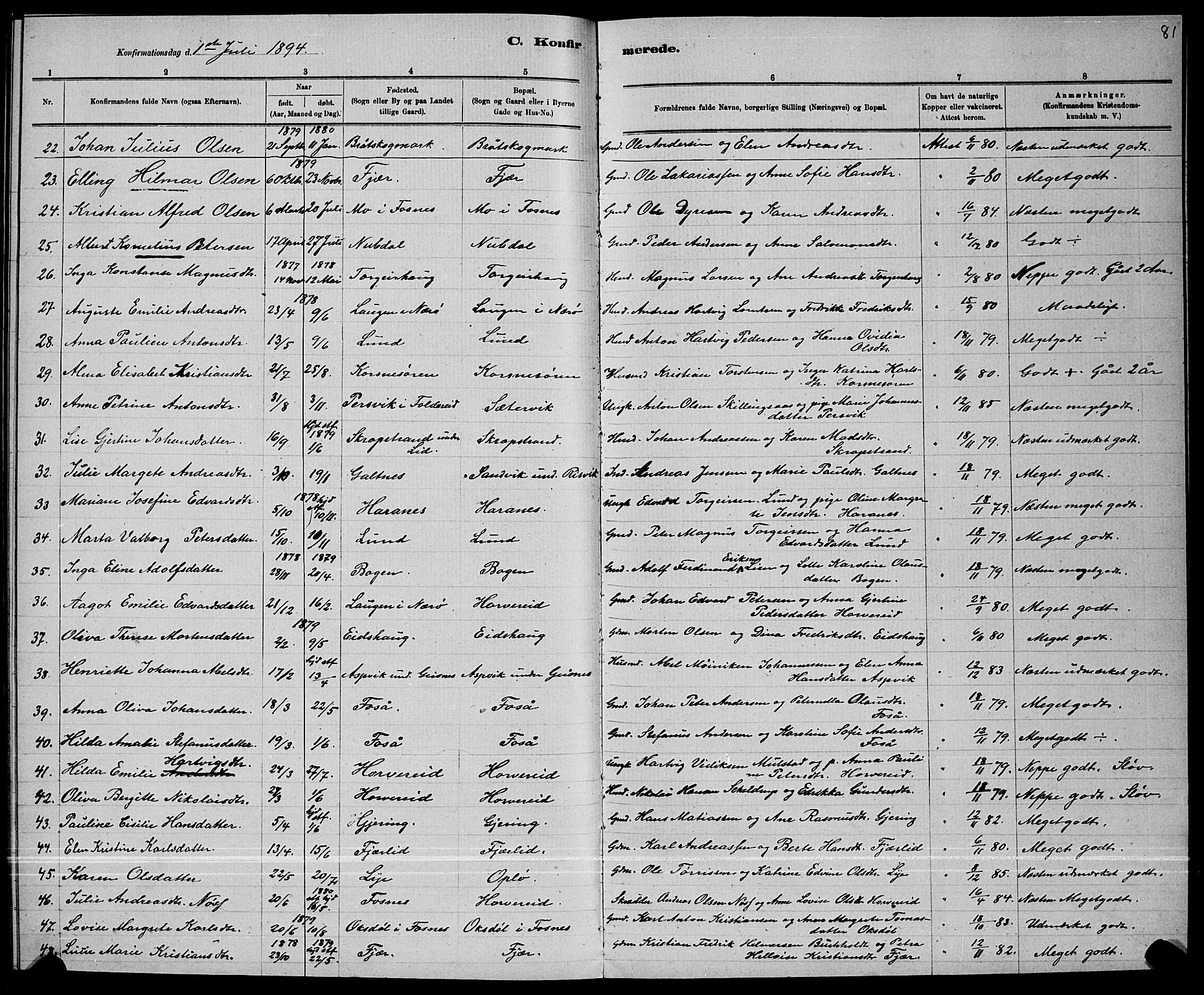 Ministerialprotokoller, klokkerbøker og fødselsregistre - Nord-Trøndelag, AV/SAT-A-1458/780/L0651: Parish register (copy) no. 780C03, 1884-1898, p. 81