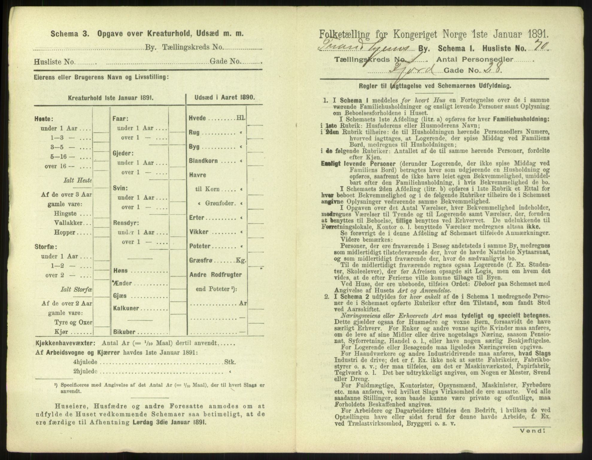 RA, 1891 census for 1601 Trondheim, 1891, p. 228