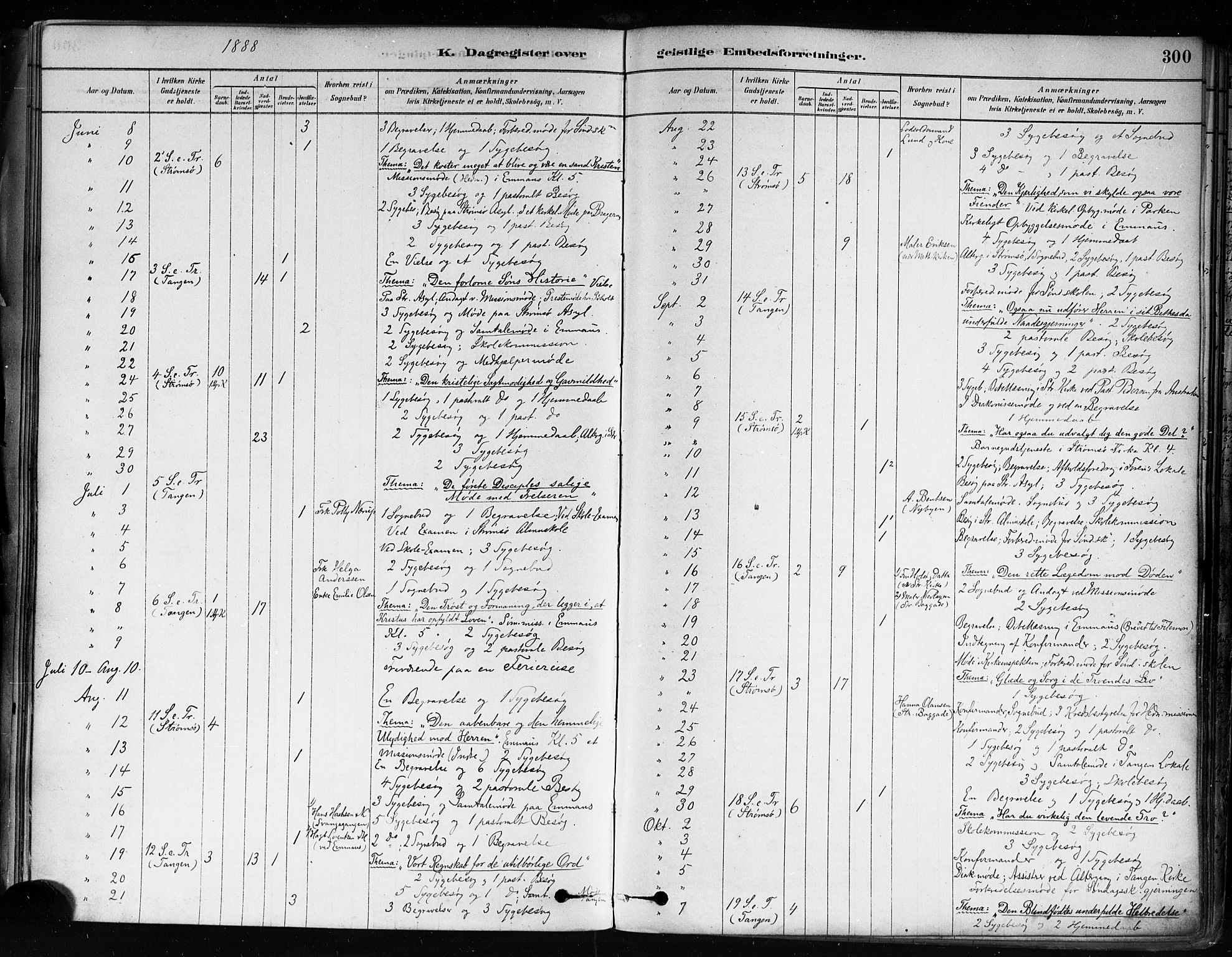 Strømsø kirkebøker, SAKO/A-246/F/Fa/L0022: Parish register (official) no. I 22, 1879-1899, p. 300