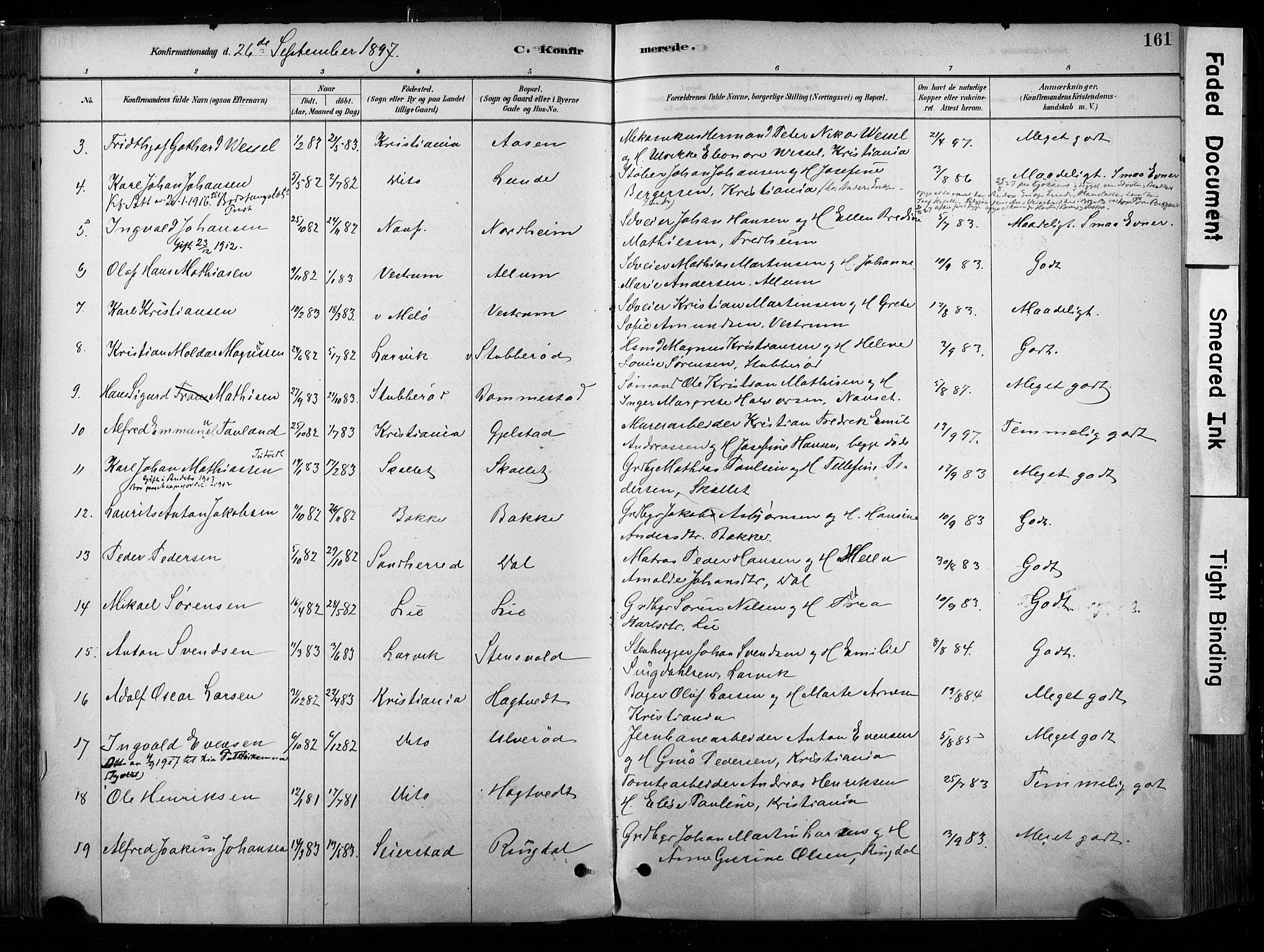 Hedrum kirkebøker, AV/SAKO-A-344/F/Fa/L0009: Parish register (official) no. I 9, 1881-1903, p. 161